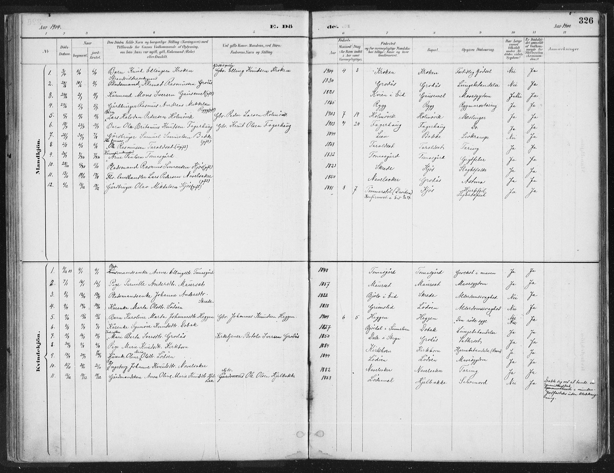 Hornindal sokneprestembete, SAB/A-82401/H/Haa/Haaa/L0003/0002: Parish register (official) no. A 3B, 1885-1917, p. 326