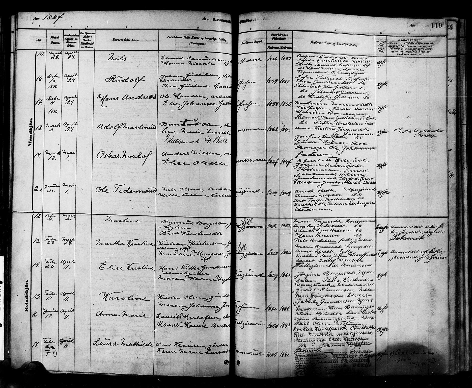 Eiker kirkebøker, AV/SAKO-A-4/F/Fb/L0001: Parish register (official) no. II 1, 1878-1888, p. 119