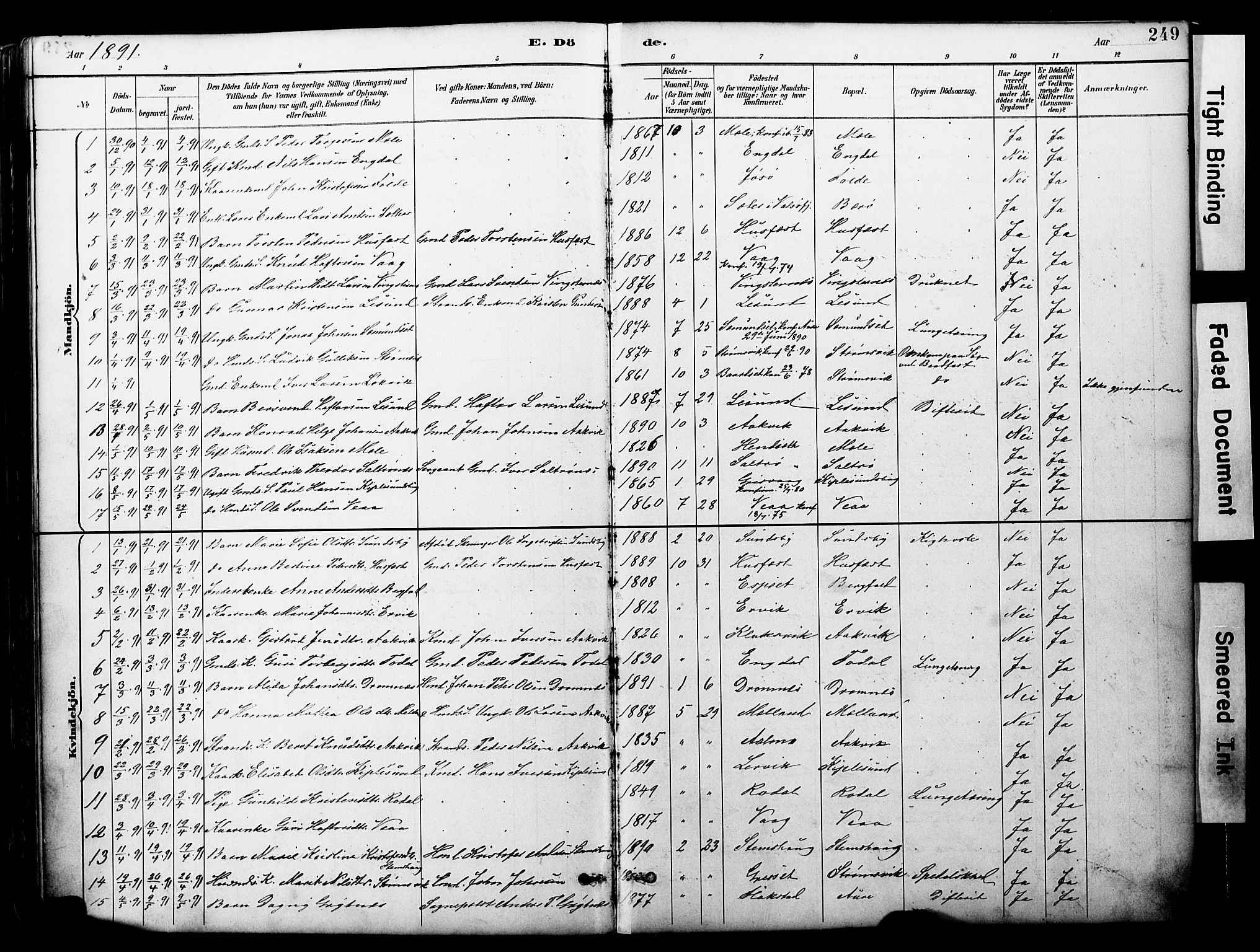 Ministerialprotokoller, klokkerbøker og fødselsregistre - Møre og Romsdal, AV/SAT-A-1454/578/L0907: Parish register (official) no. 578A06, 1887-1904, p. 249