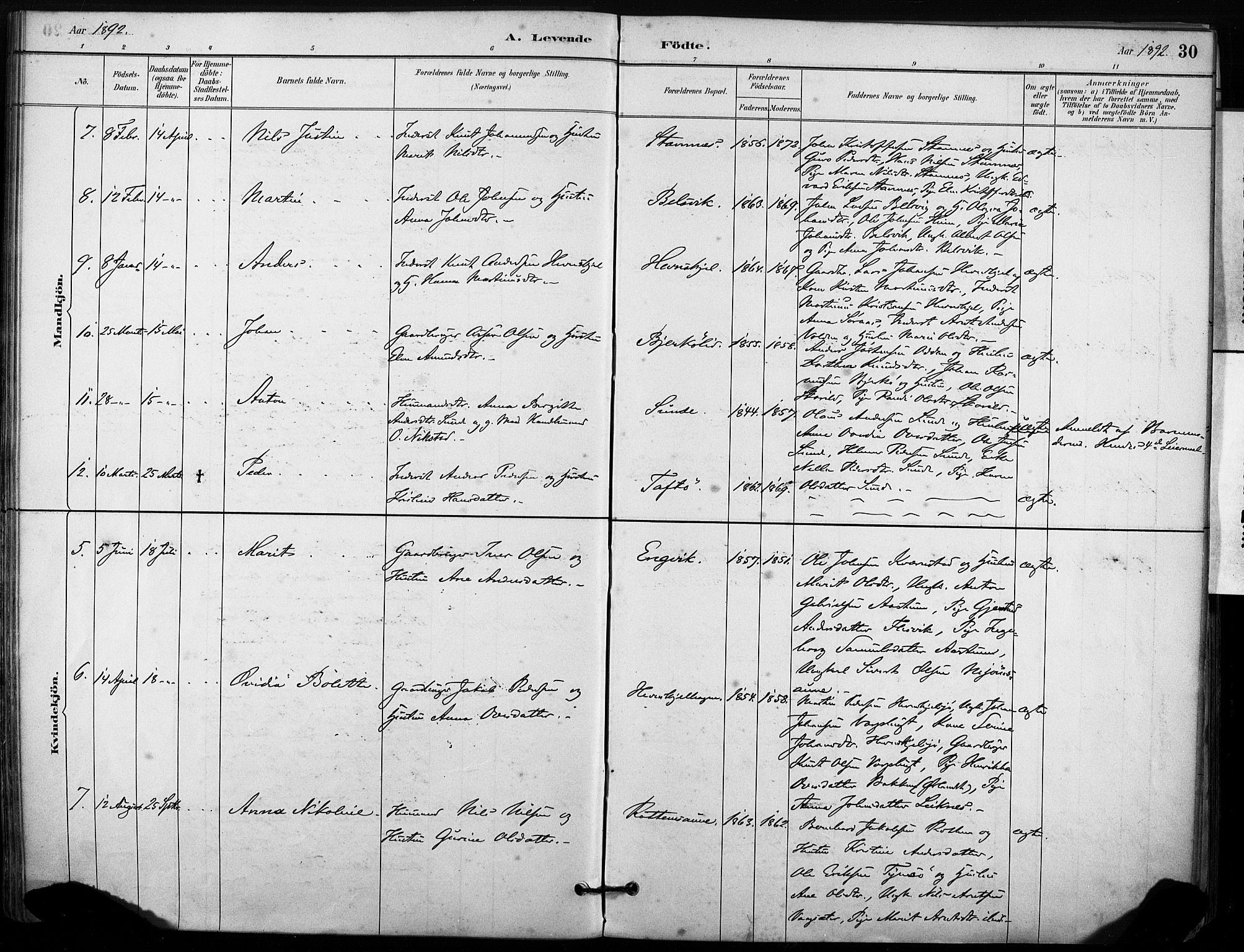 Ministerialprotokoller, klokkerbøker og fødselsregistre - Sør-Trøndelag, SAT/A-1456/633/L0518: Parish register (official) no. 633A01, 1884-1906, p. 30