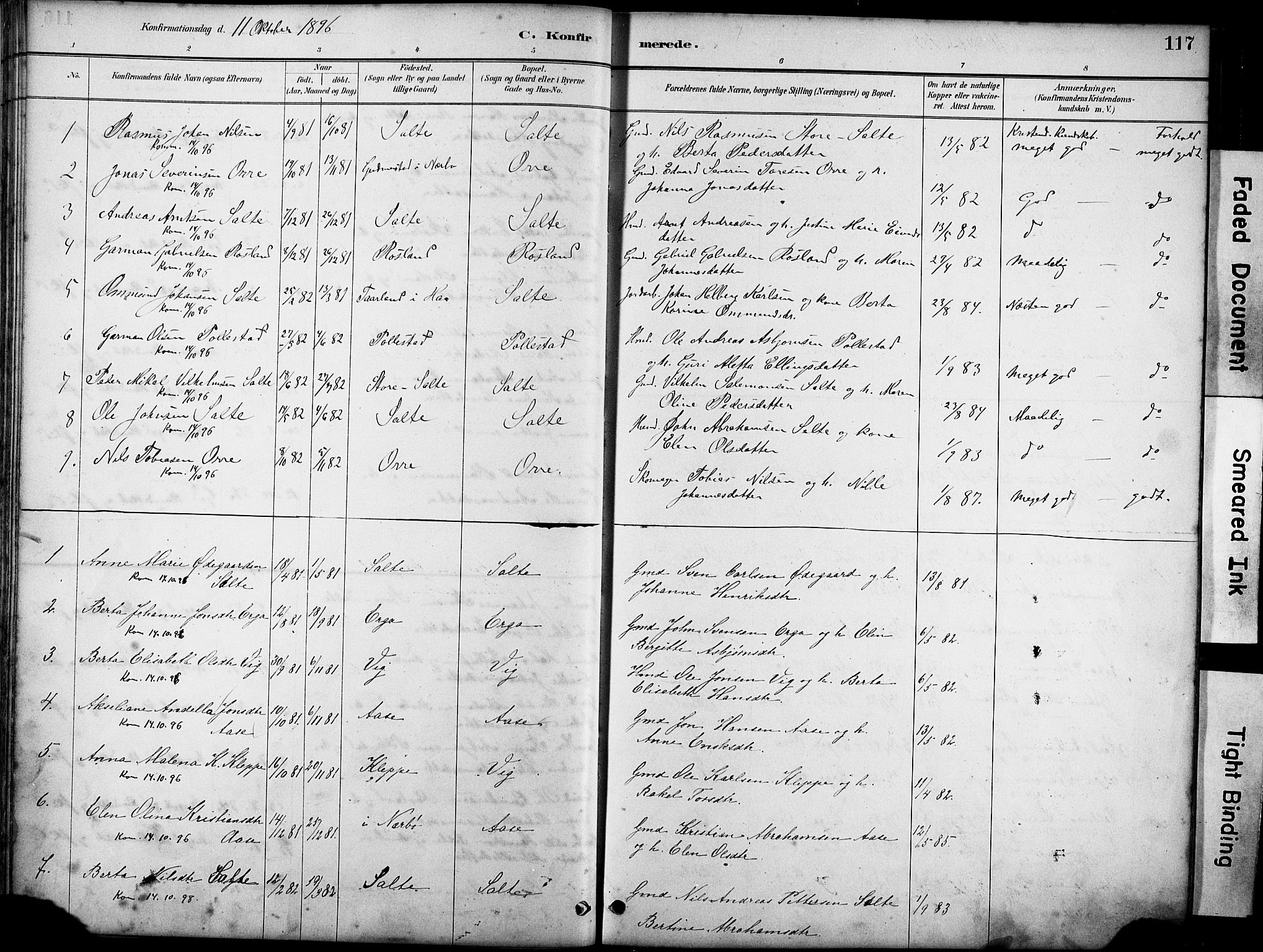Klepp sokneprestkontor, SAST/A-101803/001/3/30BA/L0007: Parish register (official) no. A 8, 1886-1912, p. 117