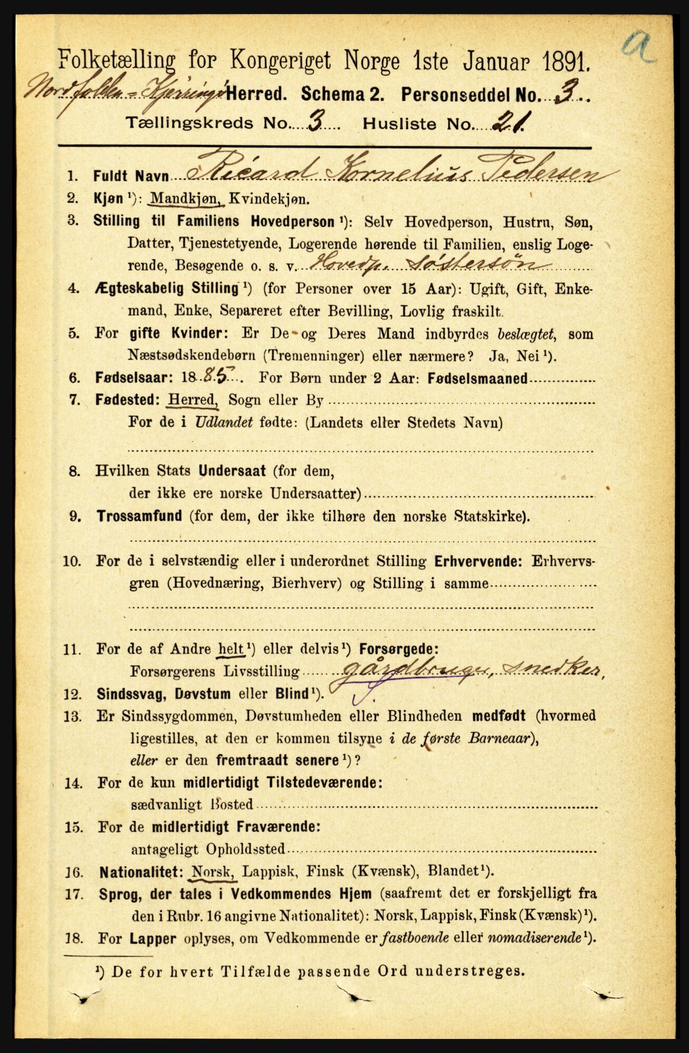 RA, 1891 census for 1846 Nordfold-Kjerringøy, 1891, p. 847