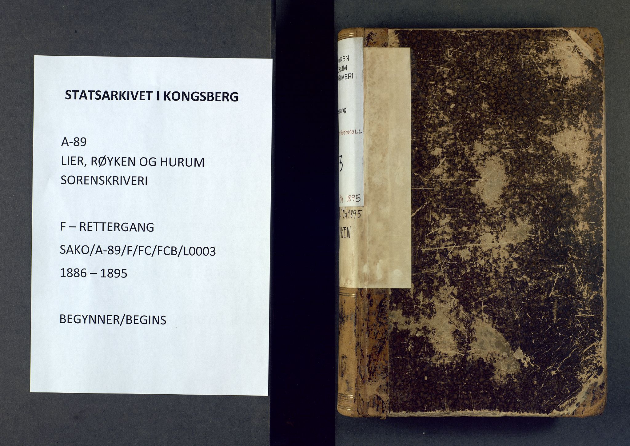 Lier, Røyken og Hurum sorenskriveri, AV/SAKO-A-89/F/Fc/Fcb/L0003: Ekstrarettsprotokoll, 1886-1895