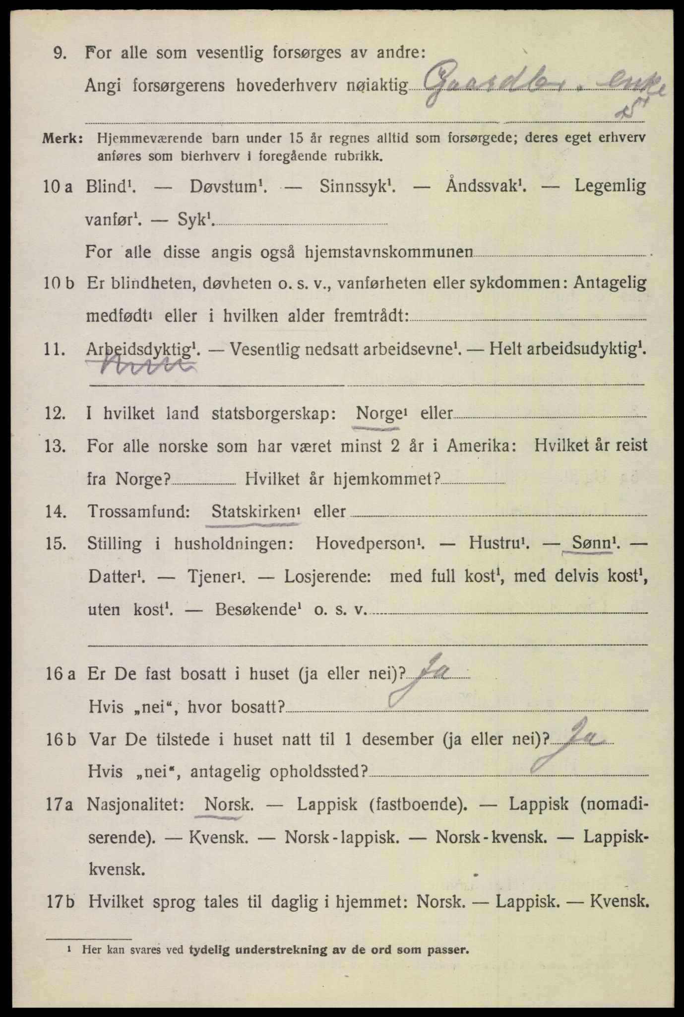 SAT, 1920 census for Skjerstad, 1920, p. 1482