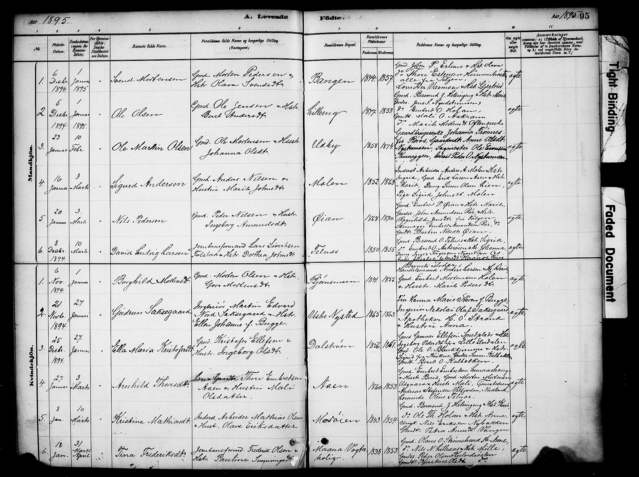 Tynset prestekontor, SAH/PREST-058/H/Ha/Hab/L0006: Parish register (copy) no. 6, 1880-1899, p. 95