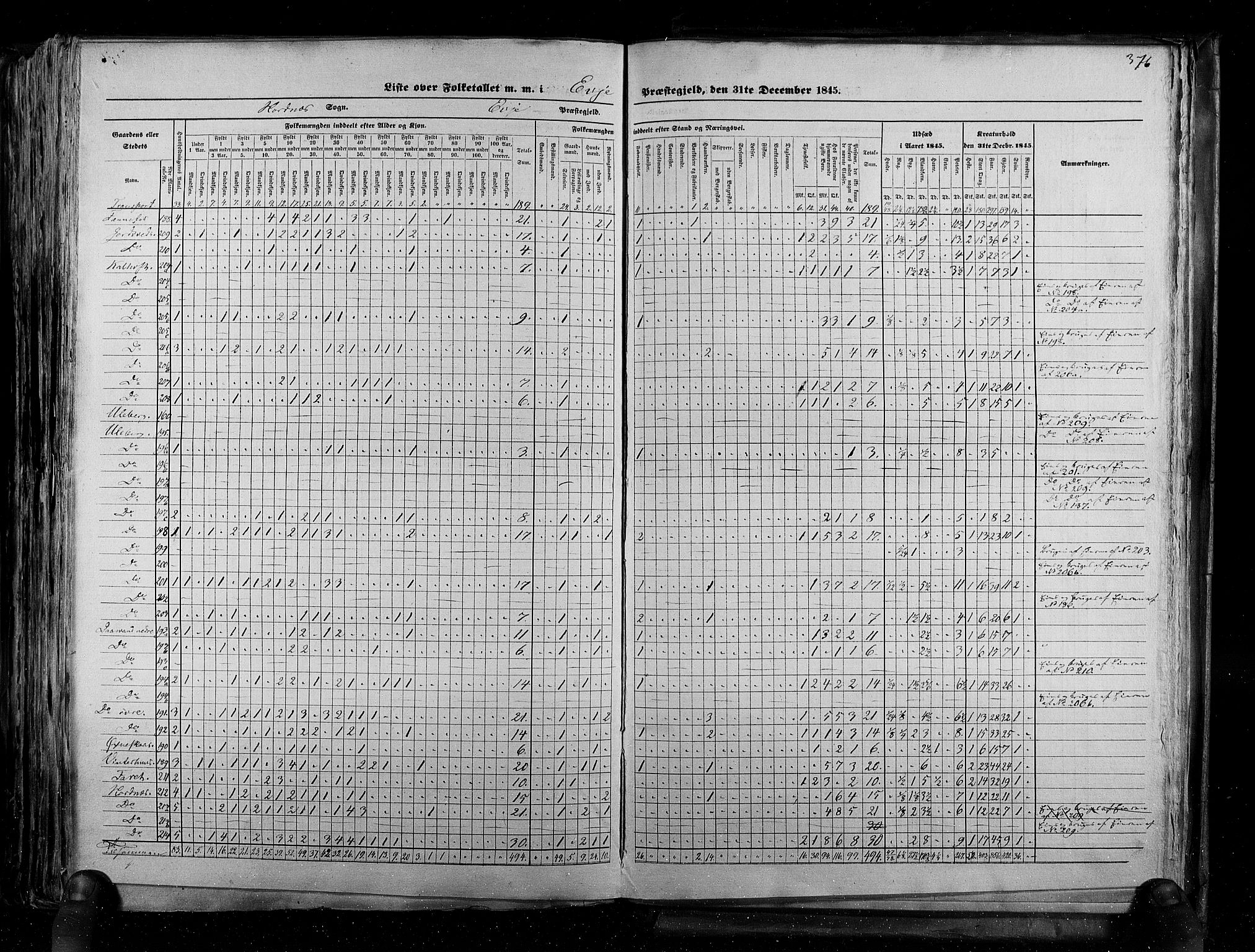 RA, Census 1845, vol. 5: Bratsberg amt og Nedenes og Råbyggelaget amt, 1845, p. 376