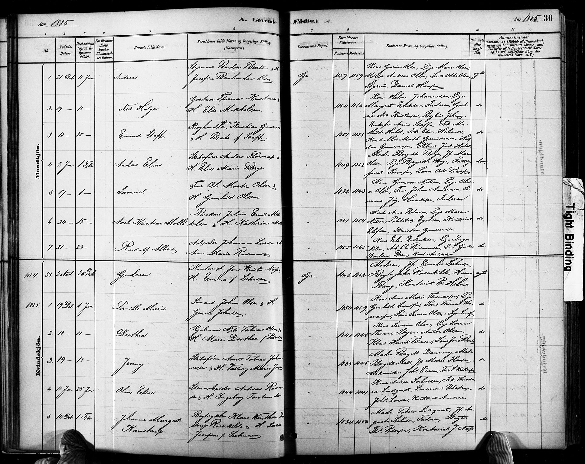 Grimstad sokneprestkontor, SAK/1111-0017/F/Fb/L0001: Parish register (copy) no. B 1, 1881-1922, p. 36