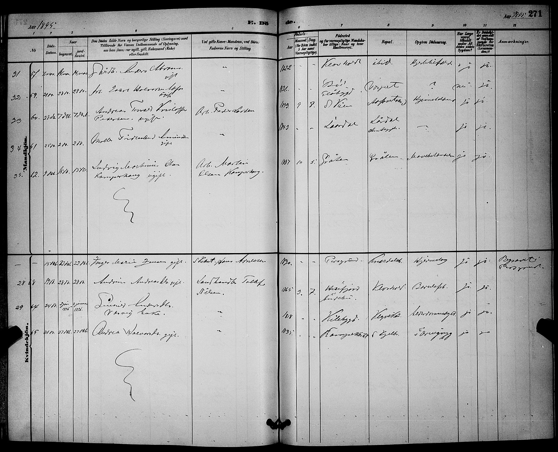 Solum kirkebøker, SAKO/A-306/G/Ga/L0007: Parish register (copy) no. I 7, 1884-1898, p. 271