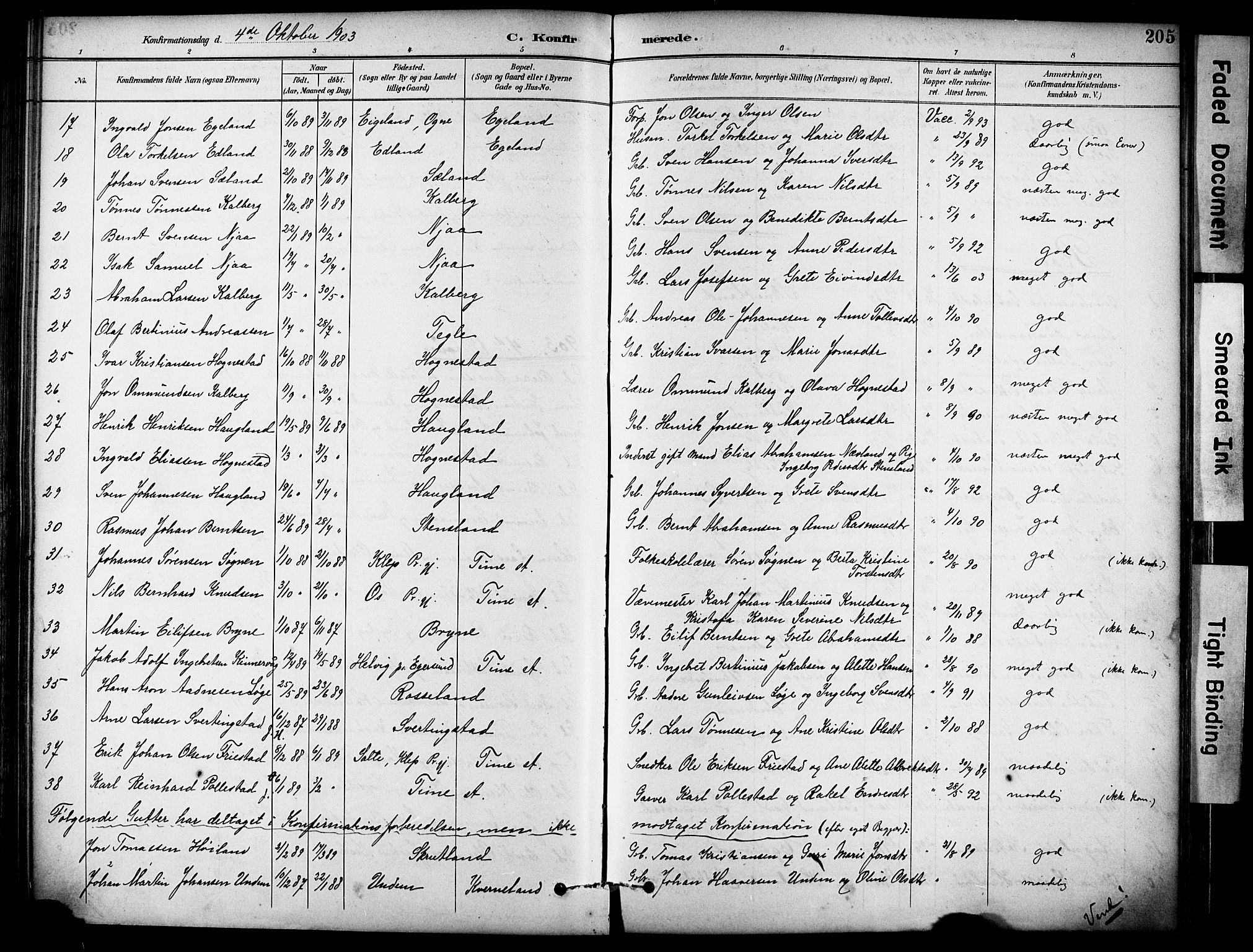 Lye sokneprestkontor, AV/SAST-A-101794/001/30BA/L0011: Parish register (official) no. A 9, 1893-1903, p. 205