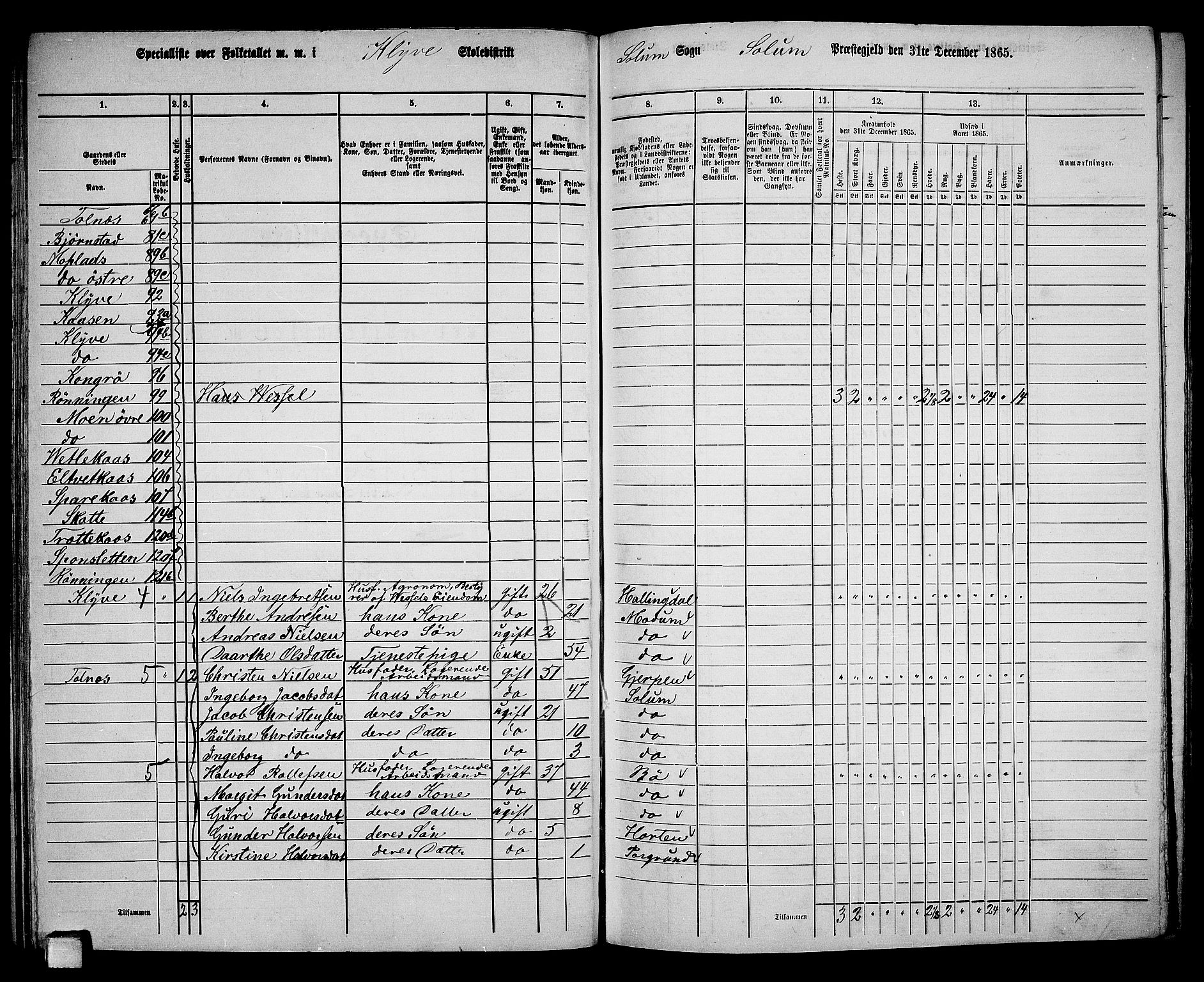 RA, 1865 census for Solum, 1865, p. 97