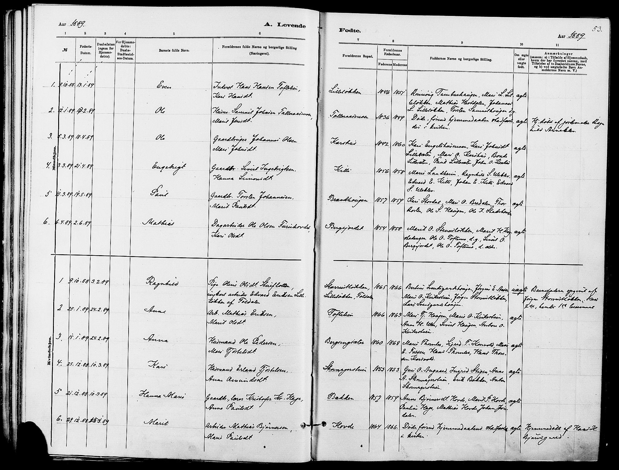 Dovre prestekontor, SAH/PREST-066/H/Ha/Haa/L0002: Parish register (official) no. 2, 1879-1890, p. 53