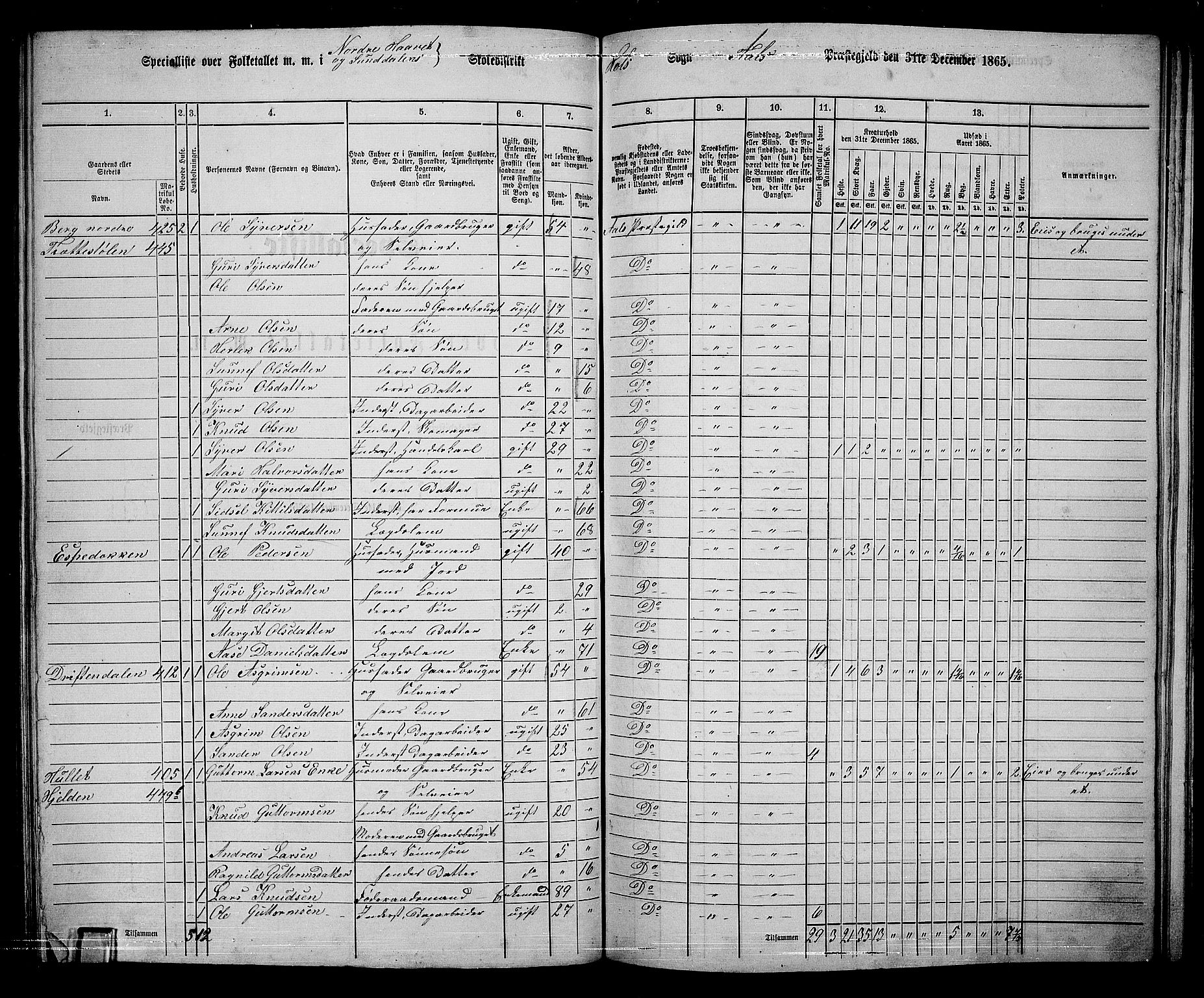 RA, 1865 census for Ål, 1865, p. 207