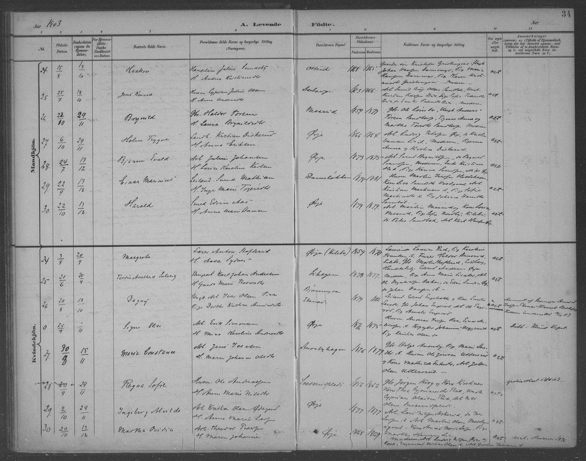 Aremark prestekontor Kirkebøker, AV/SAO-A-10899/F/Fb/L0005: Parish register (official) no. II 5, 1895-1919, p. 34