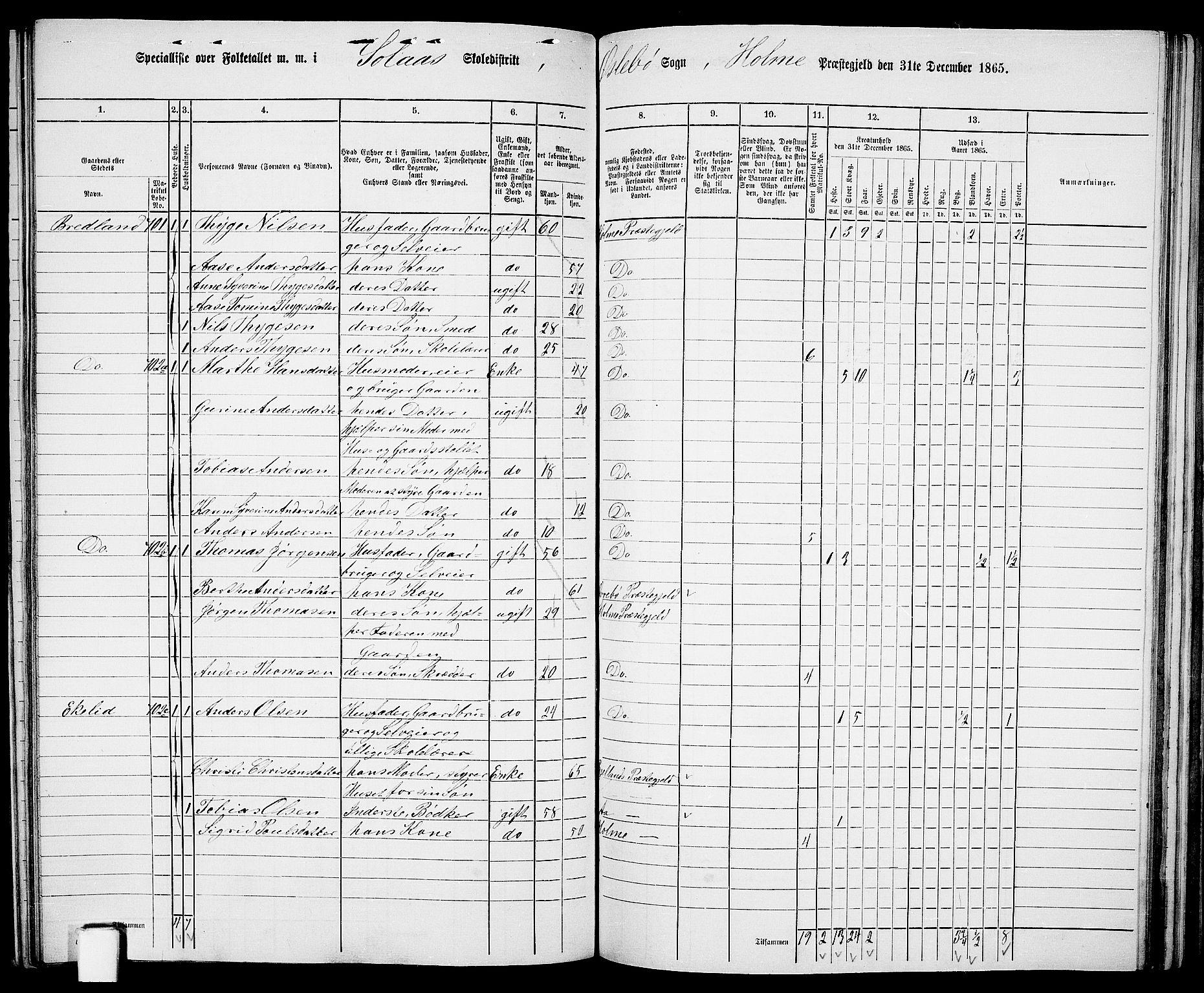 RA, 1865 census for Holum, 1865, p. 125