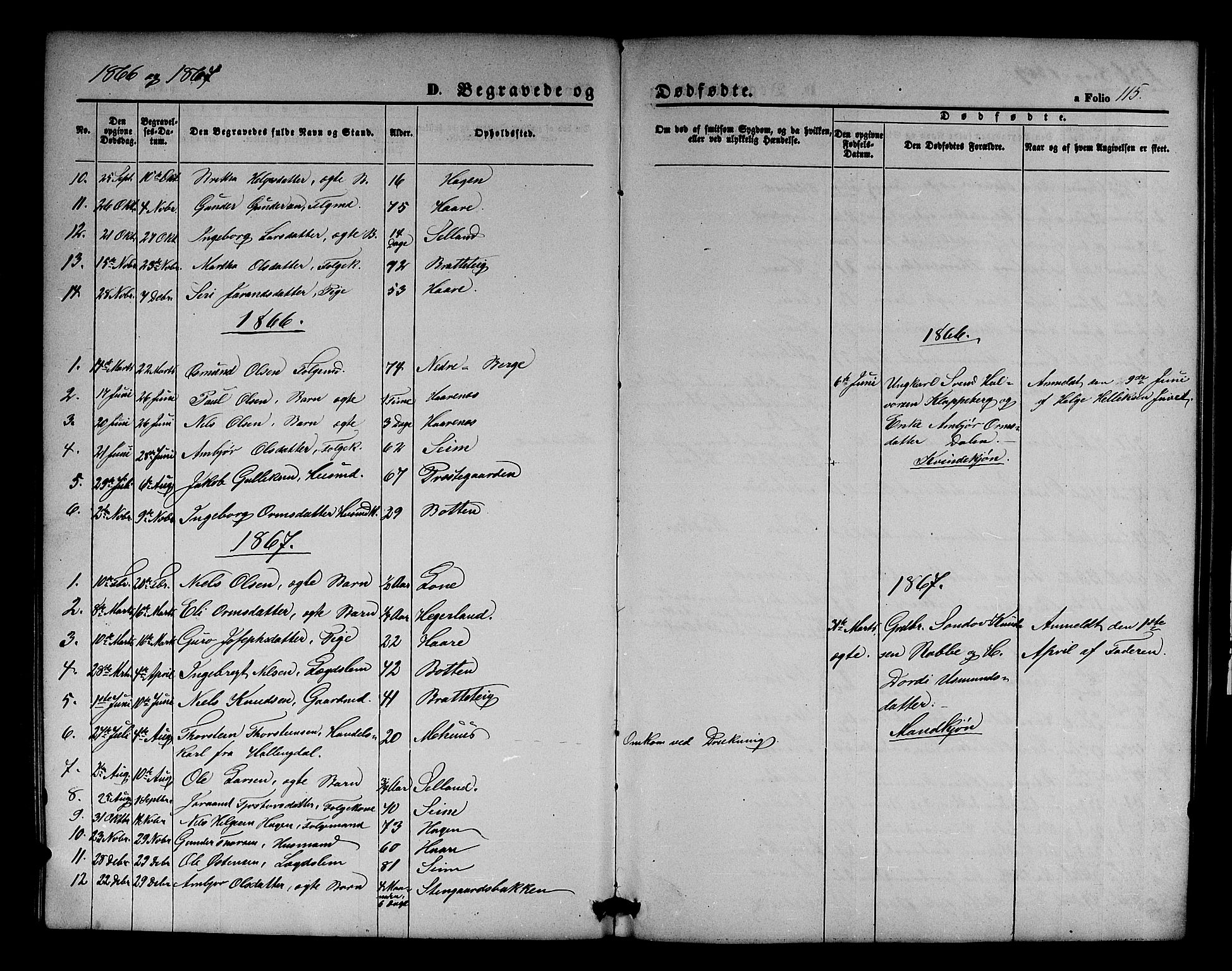 Røldal sokneprestembete, SAB/A-100247: Parish register (copy) no. A 2, 1861-1886, p. 115