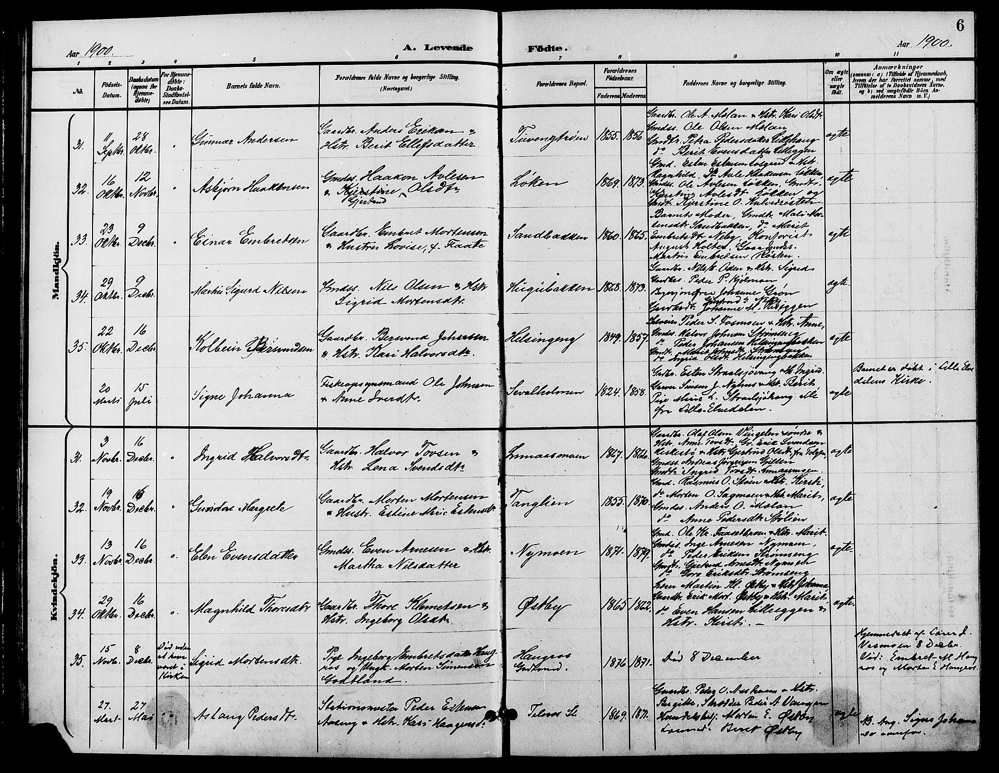 Tynset prestekontor, AV/SAH-PREST-058/H/Ha/Hab/L0009: Parish register (copy) no. 9, 1900-1914, p. 6