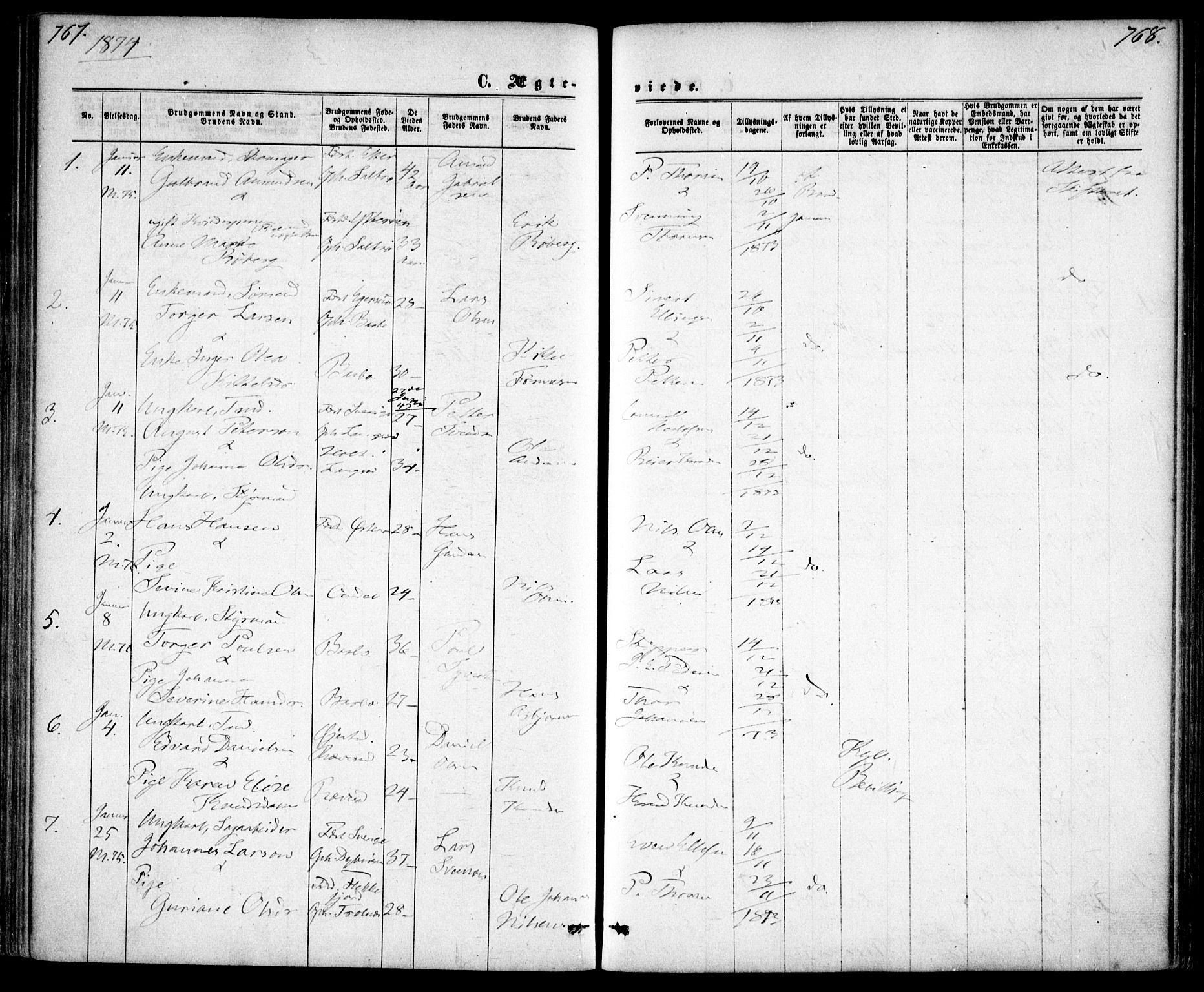 Tromøy sokneprestkontor, AV/SAK-1111-0041/F/Fa/L0008: Parish register (official) no. A 8, 1870-1877, p. 767-768