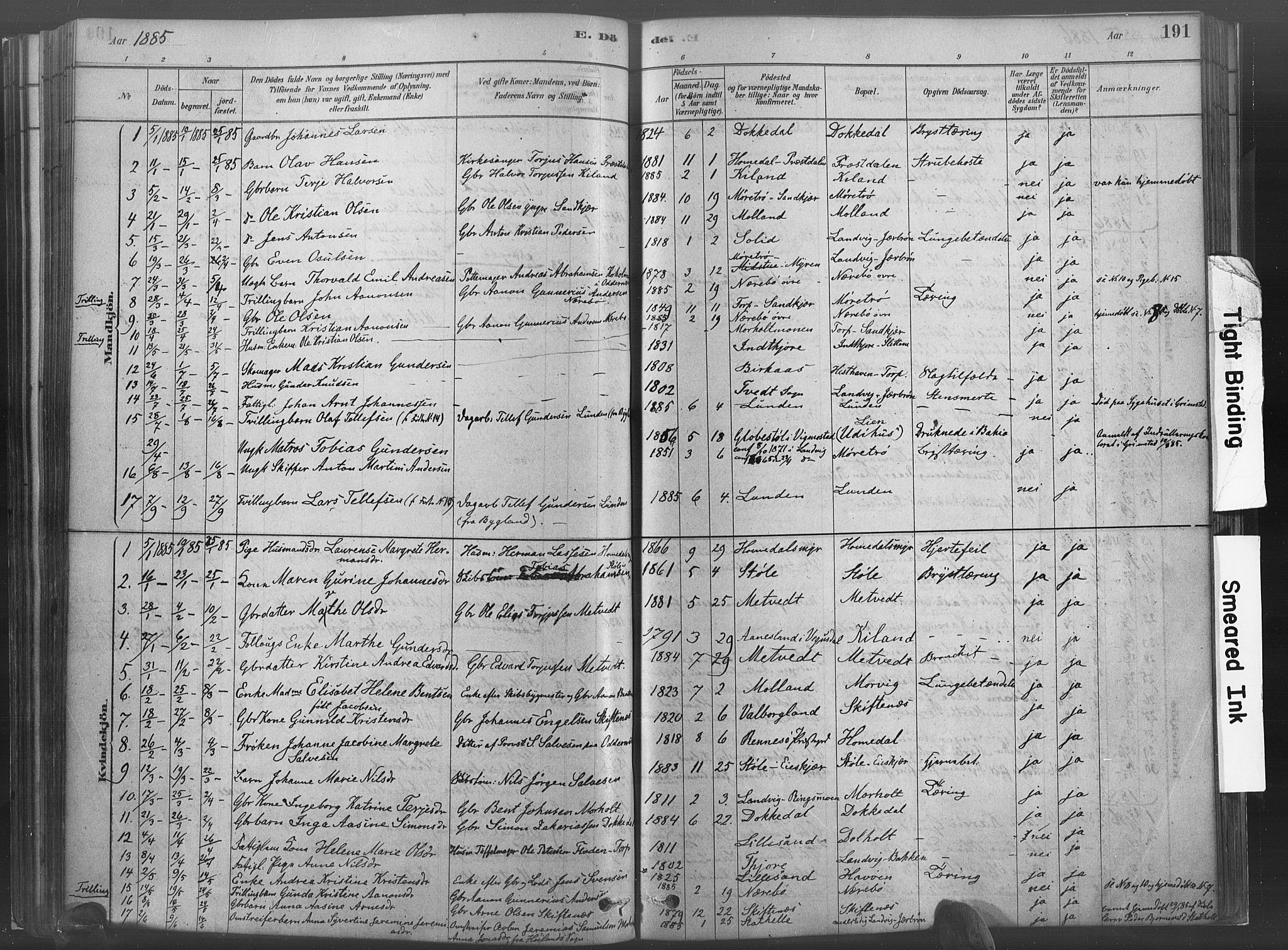 Hommedal sokneprestkontor, SAK/1111-0023/F/Fa/Fab/L0006: Parish register (official) no. A 6, 1878-1897, p. 191