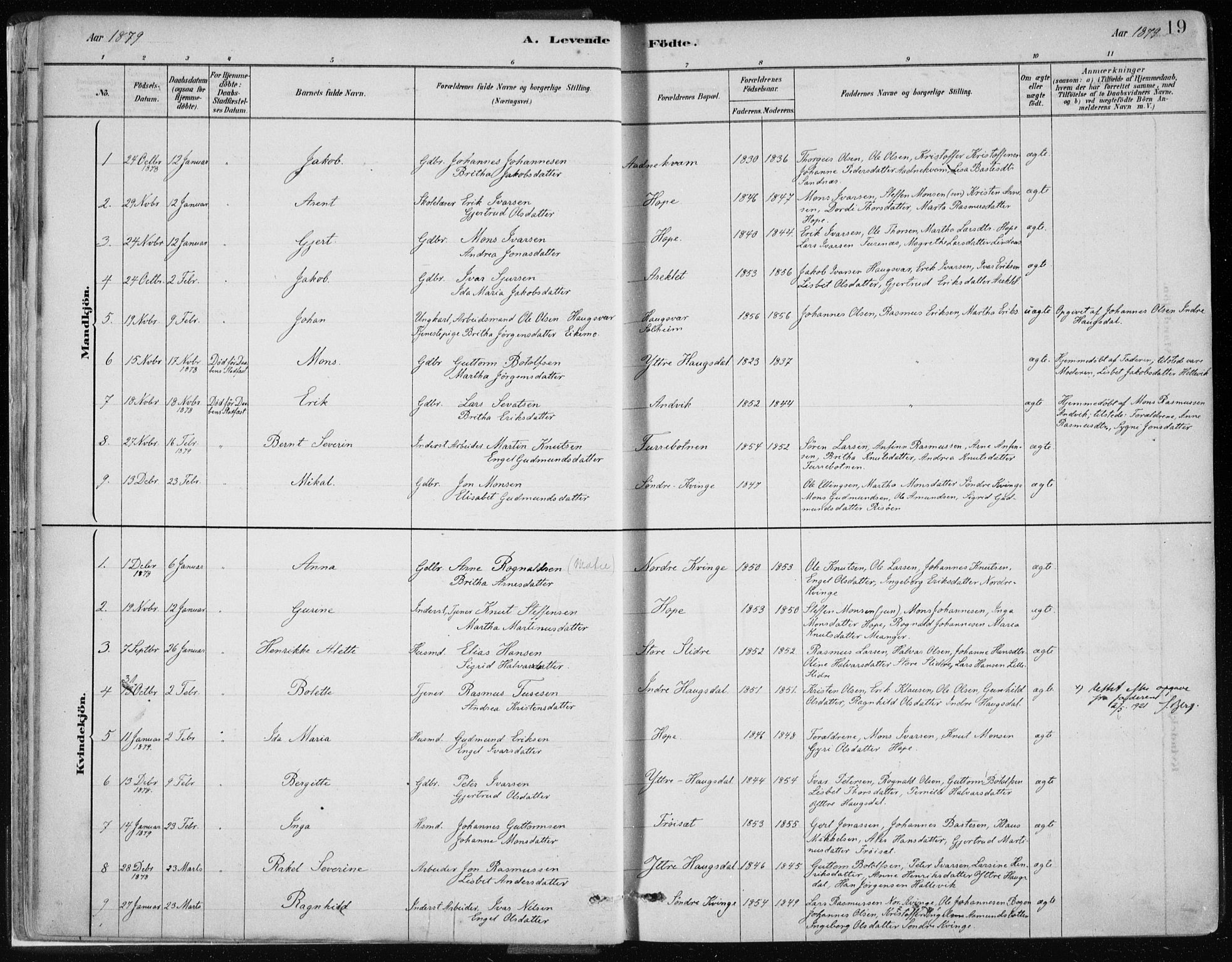 Masfjorden Sokneprestembete, SAB/A-77001: Parish register (official) no. B  1, 1876-1899, p. 19