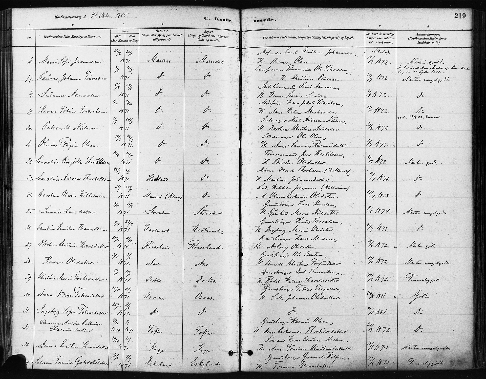 Mandal sokneprestkontor, SAK/1111-0030/F/Fa/Faa/L0016: Parish register (official) no. A 16, 1880-1890, p. 219