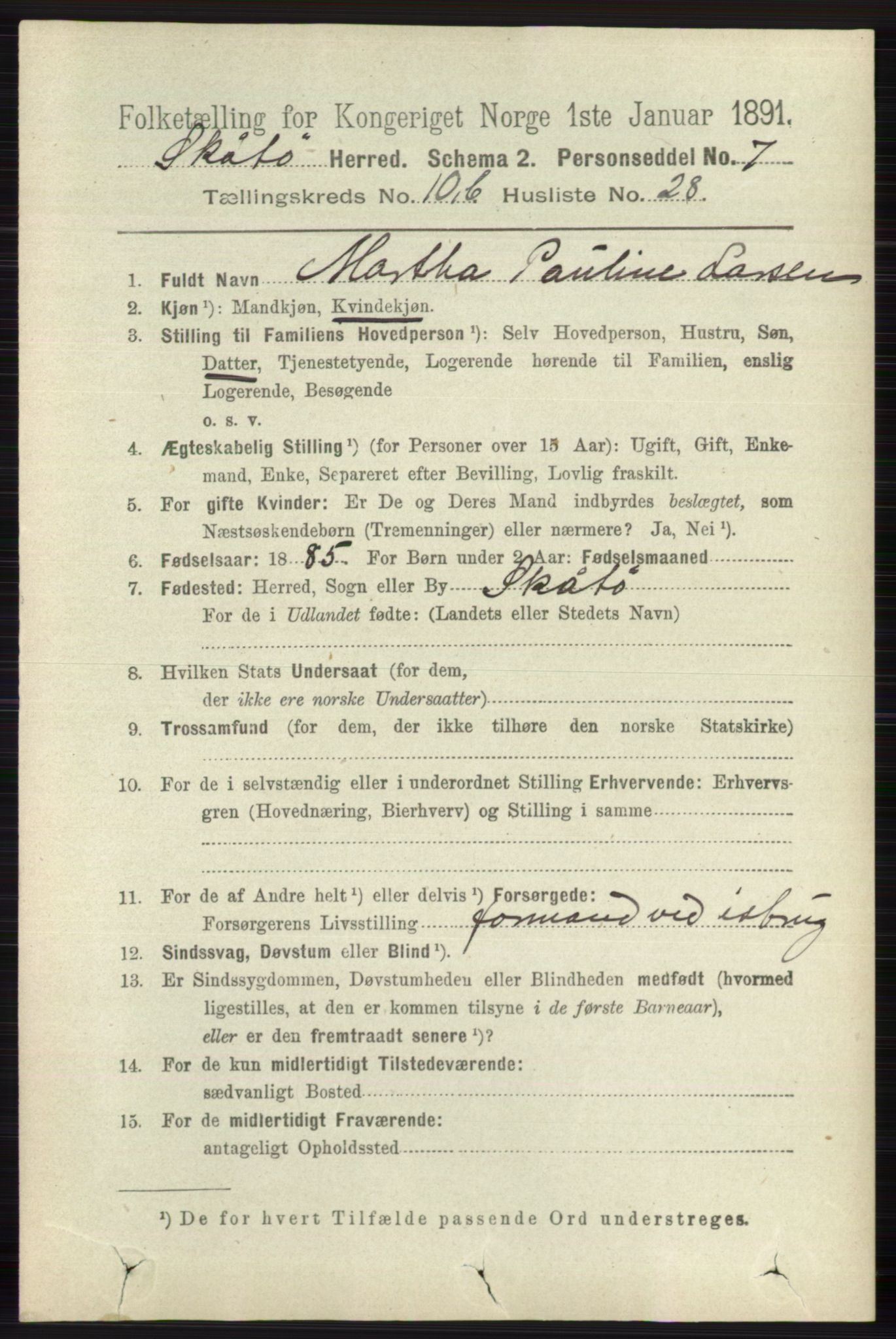 RA, 1891 census for 0815 Skåtøy, 1891, p. 4213