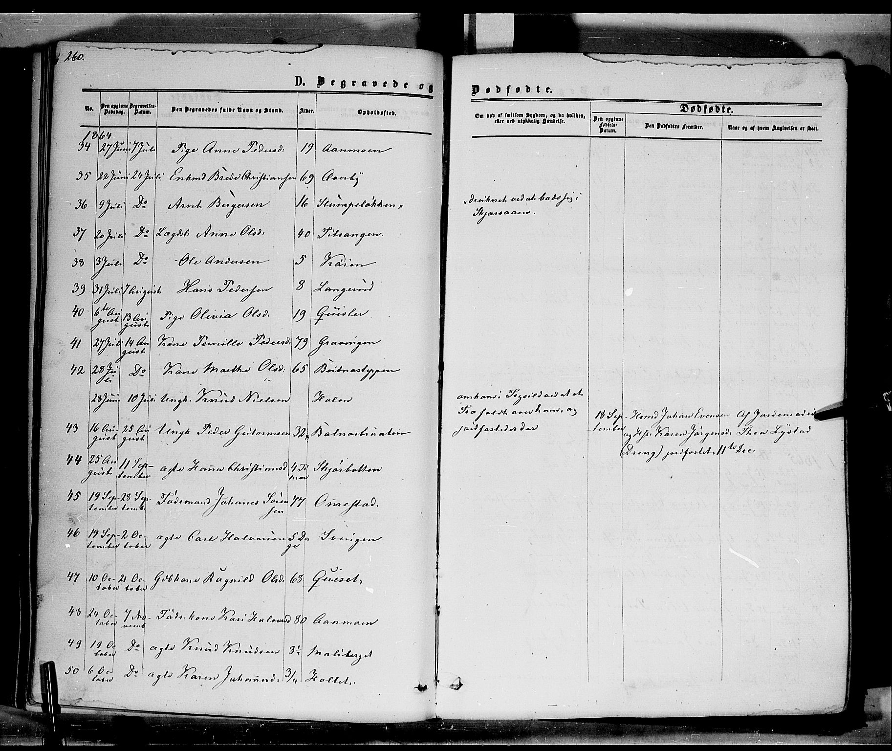 Hof prestekontor, AV/SAH-PREST-038/H/Ha/Haa/L0009: Parish register (official) no. 9, 1862-1877, p. 260