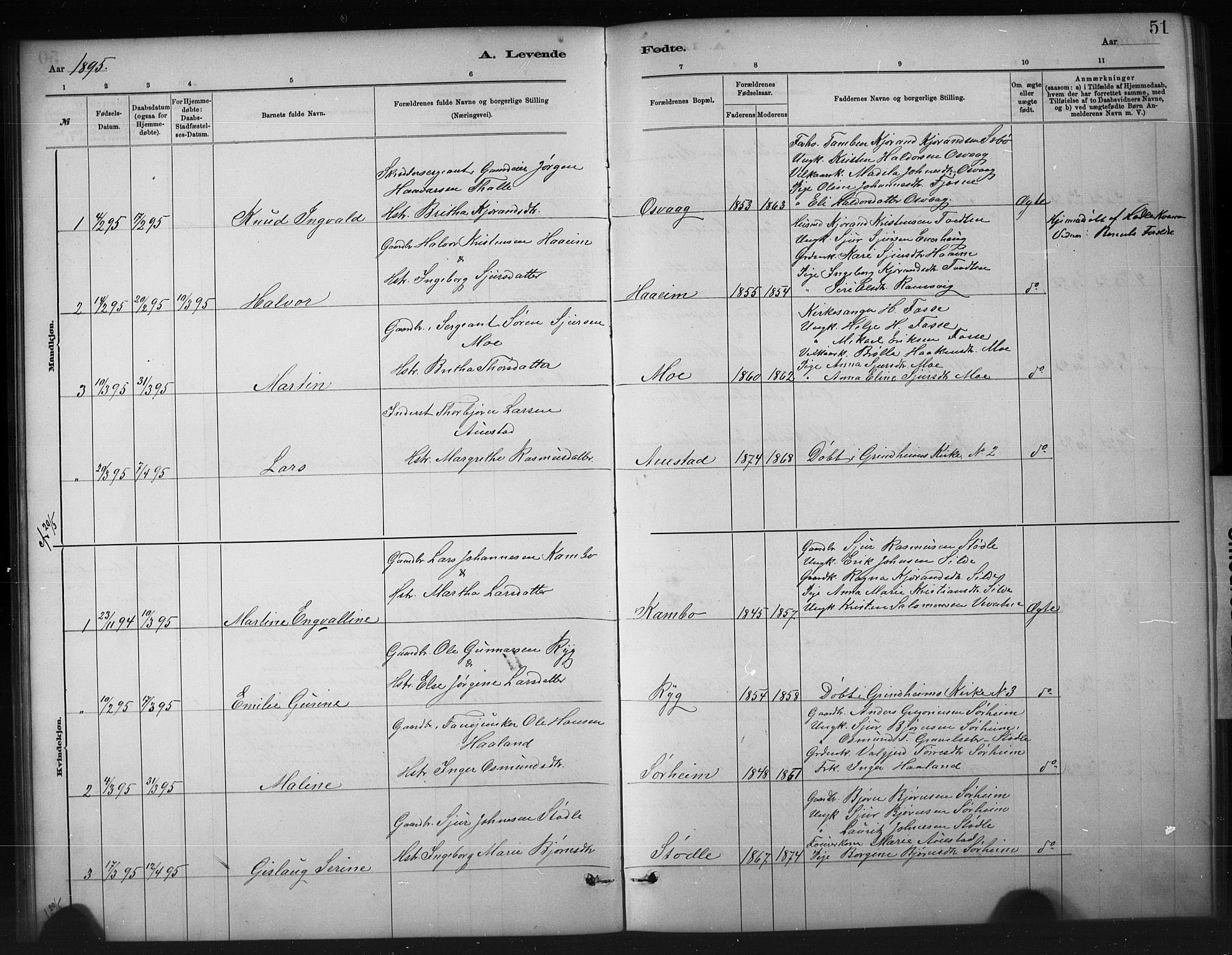 Etne sokneprestembete, SAB/A-75001/H/Hab: Parish register (copy) no. A 5, 1879-1896, p. 51