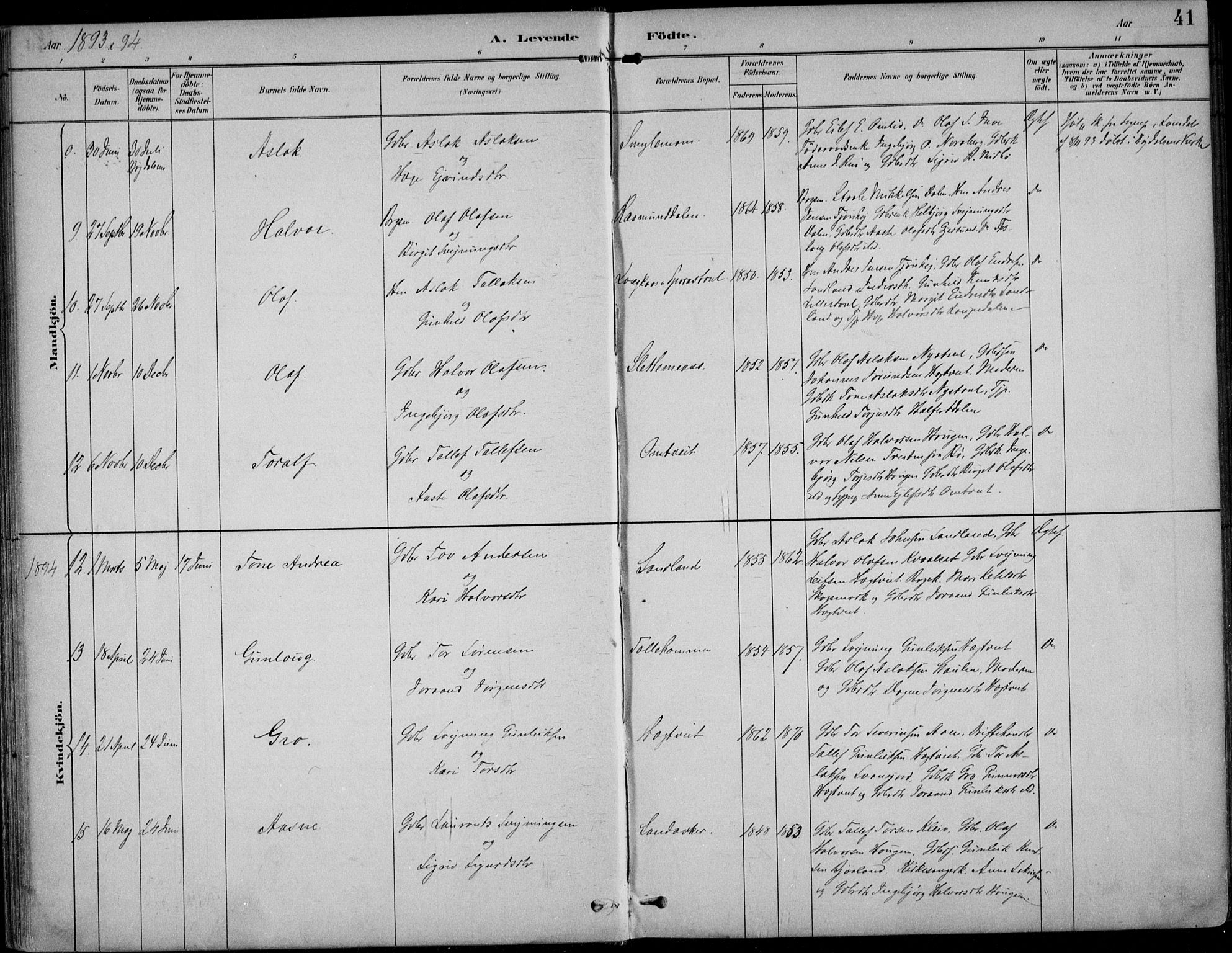 Kviteseid kirkebøker, SAKO/A-276/F/Fb/L0002: Parish register (official) no. II 2, 1882-1916, p. 41