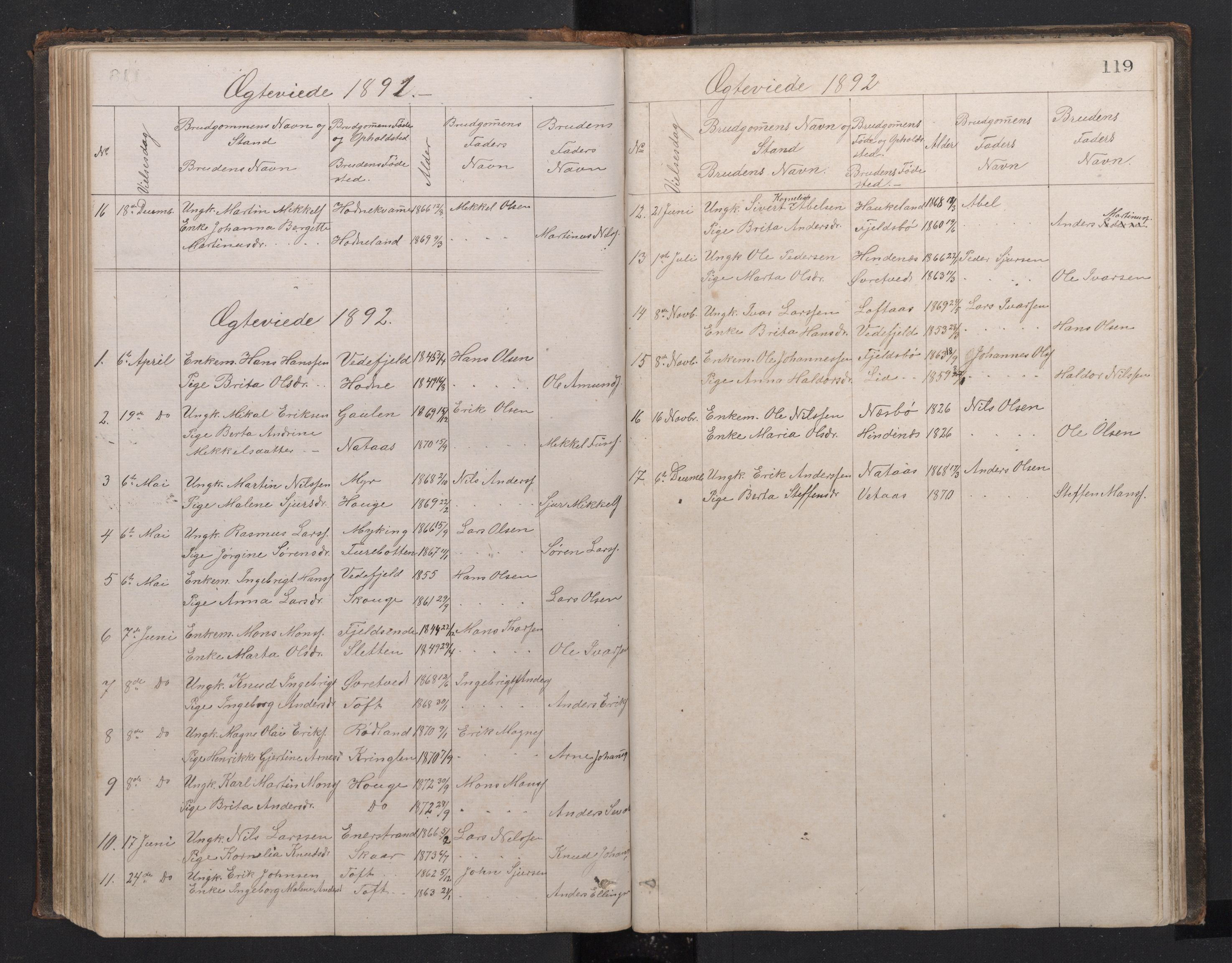 Lindås Sokneprestembete, SAB/A-76701/H/Hab: Parish register (copy) no. E 2, 1867-1892, p. 118b-119a