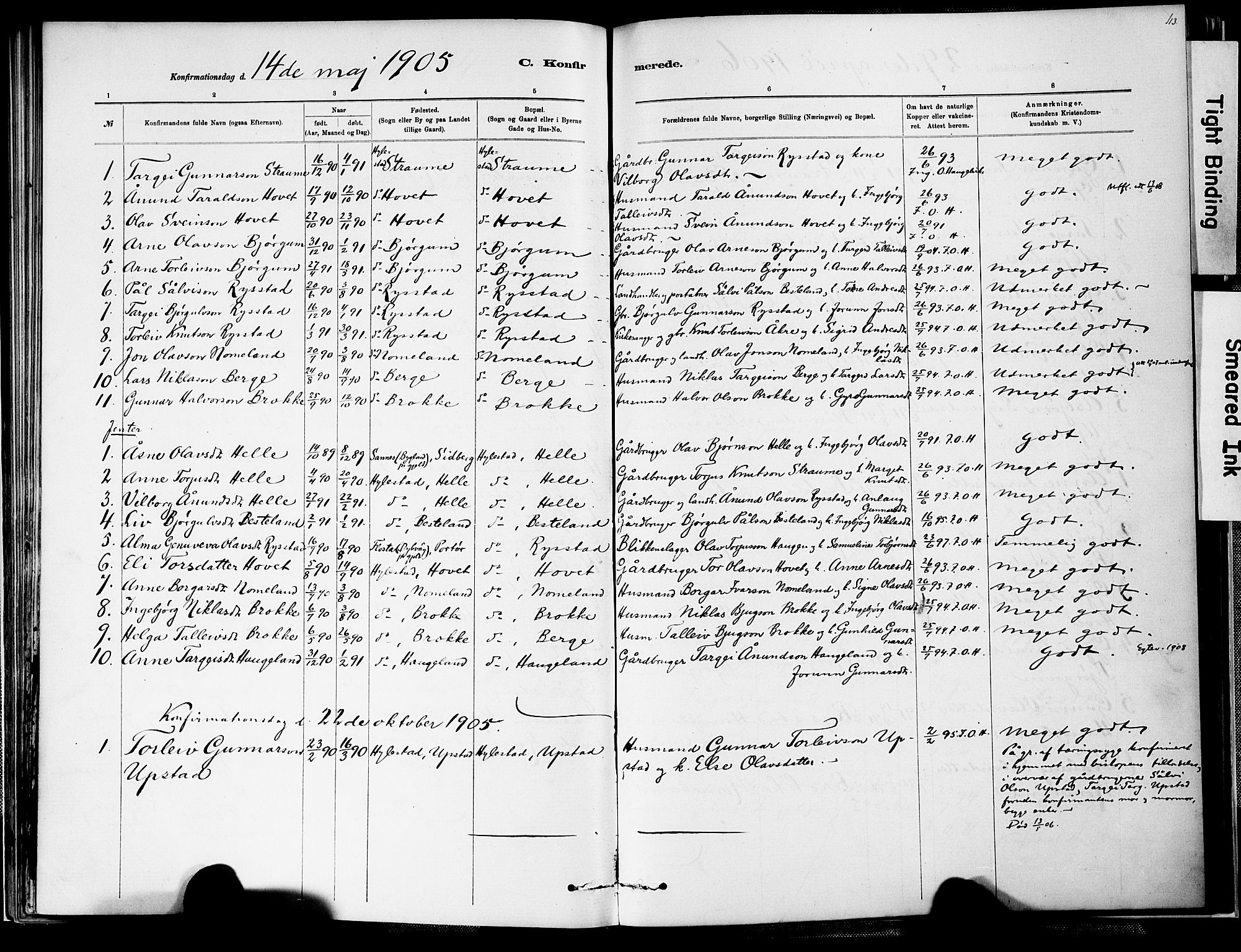 Valle sokneprestkontor, SAK/1111-0044/F/Fa/Fab/L0001: Parish register (official) no. A 1, 1882-1910, p. 113