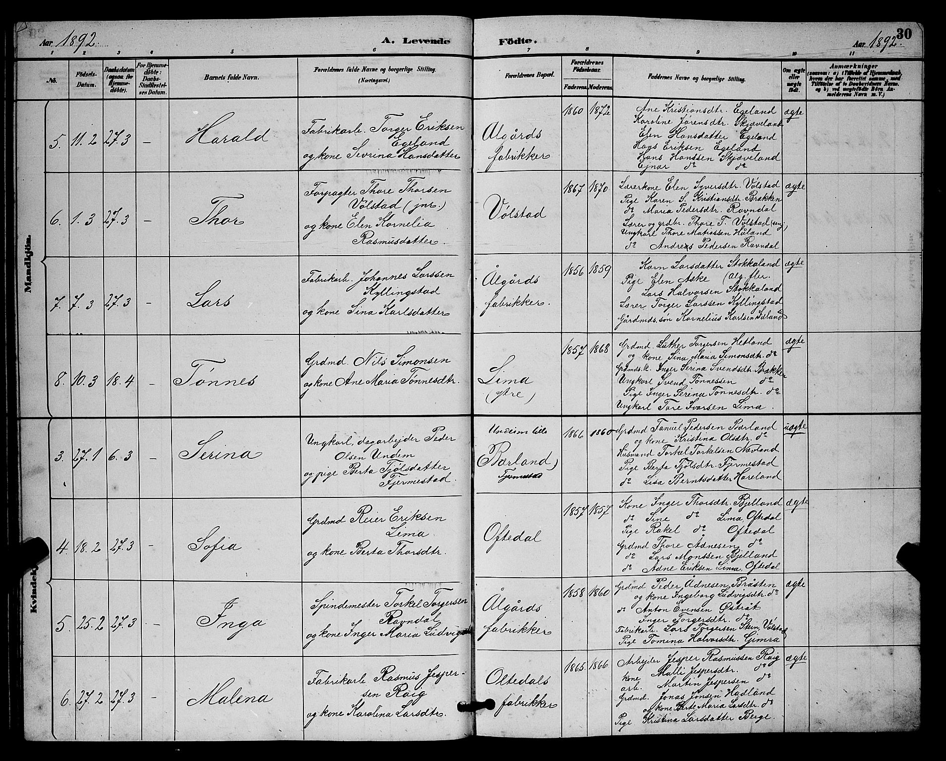 Lye sokneprestkontor, AV/SAST-A-101794/001/30BB/L0008: Parish register (copy) no. B 7, 1887-1901, p. 30