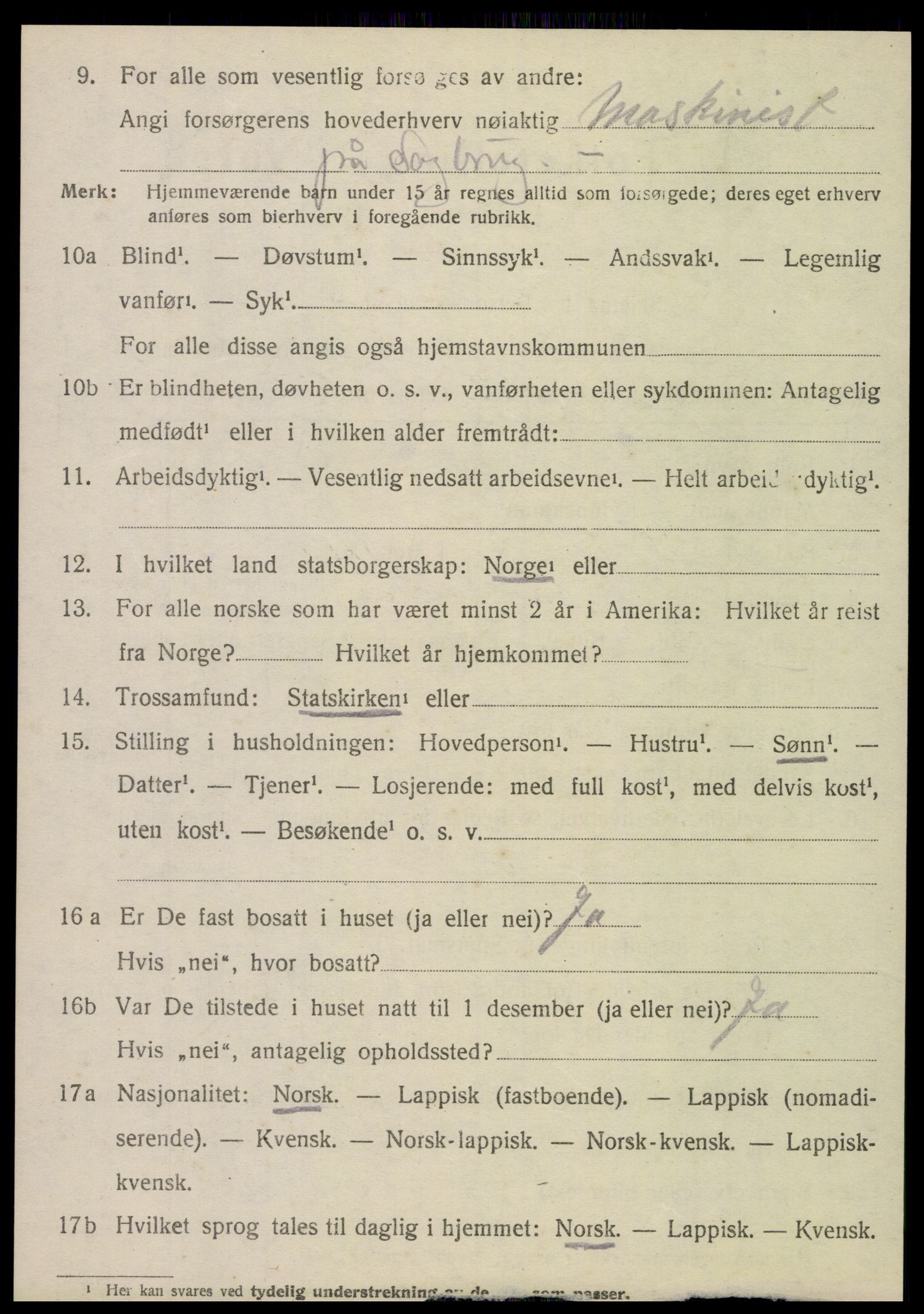 SAT, 1920 census for Hemnes, 1920, p. 3729