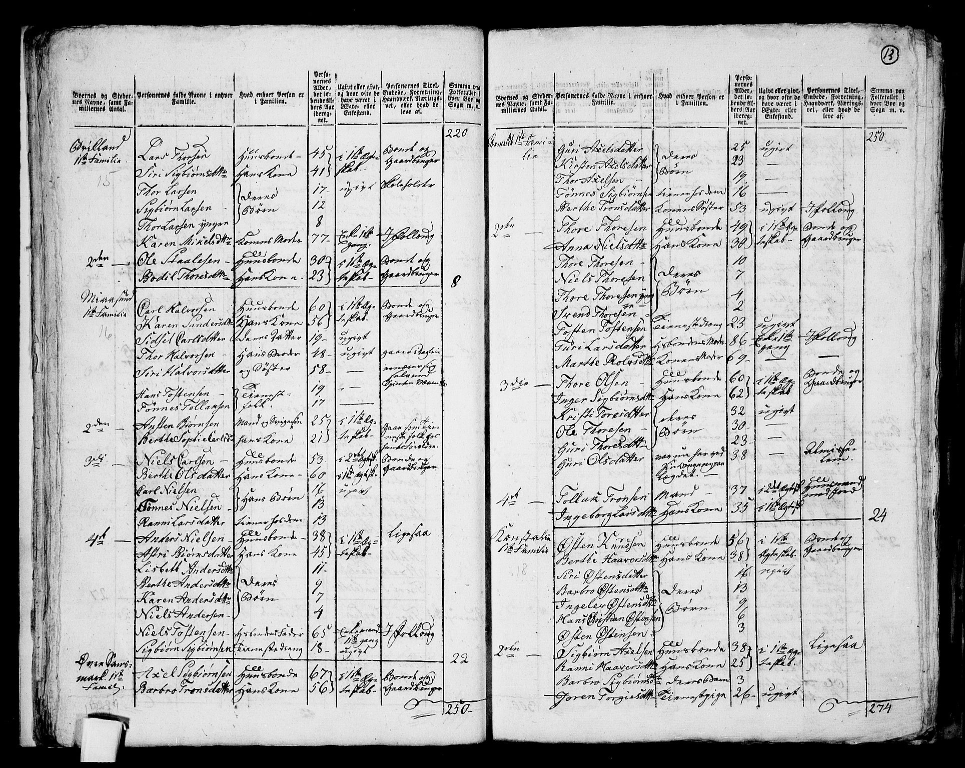 RA, 1801 census for 1045P Bakke, 1801, p. 12b-13a