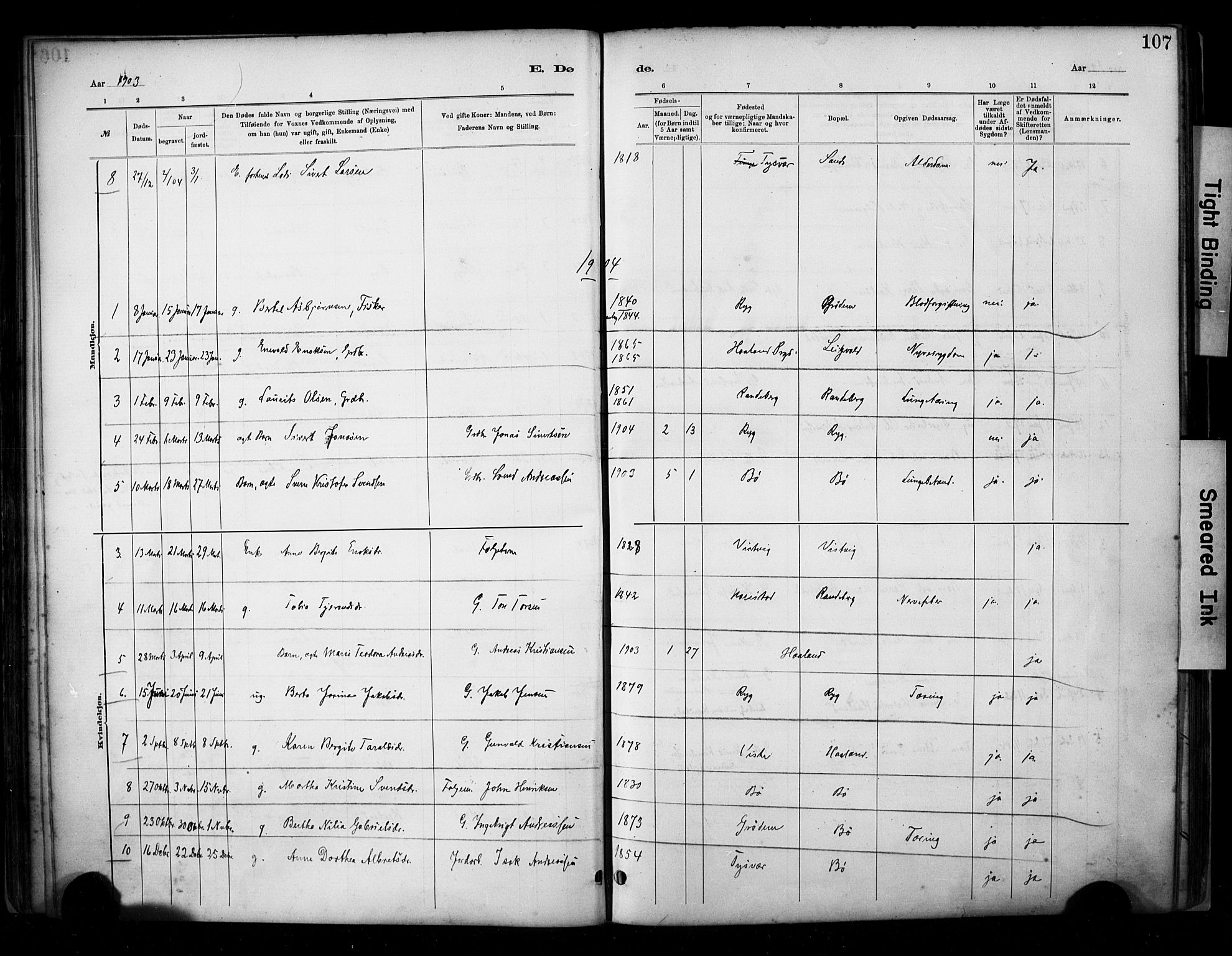 Hetland sokneprestkontor, SAST/A-101826/30/30BA/L0009: Parish register (official) no. A 9, 1882-1918, p. 107
