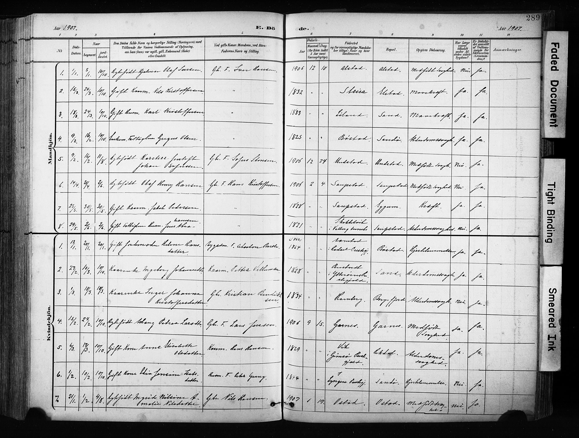 Ministerialprotokoller, klokkerbøker og fødselsregistre - Nordland, AV/SAT-A-1459/880/L1134: Parish register (official) no. 880A08, 1899-1908, p. 289