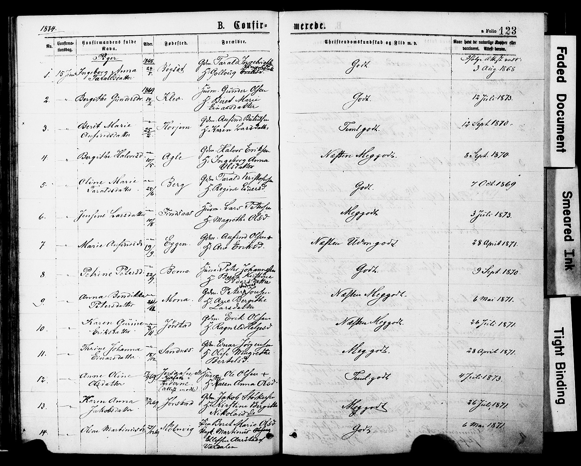 Ministerialprotokoller, klokkerbøker og fødselsregistre - Nord-Trøndelag, AV/SAT-A-1458/749/L0473: Parish register (official) no. 749A07, 1873-1887, p. 123