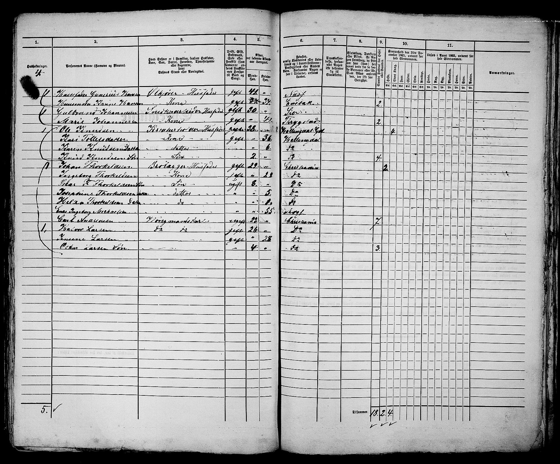 RA, 1865 census for Kristiania, 1865, p. 3495