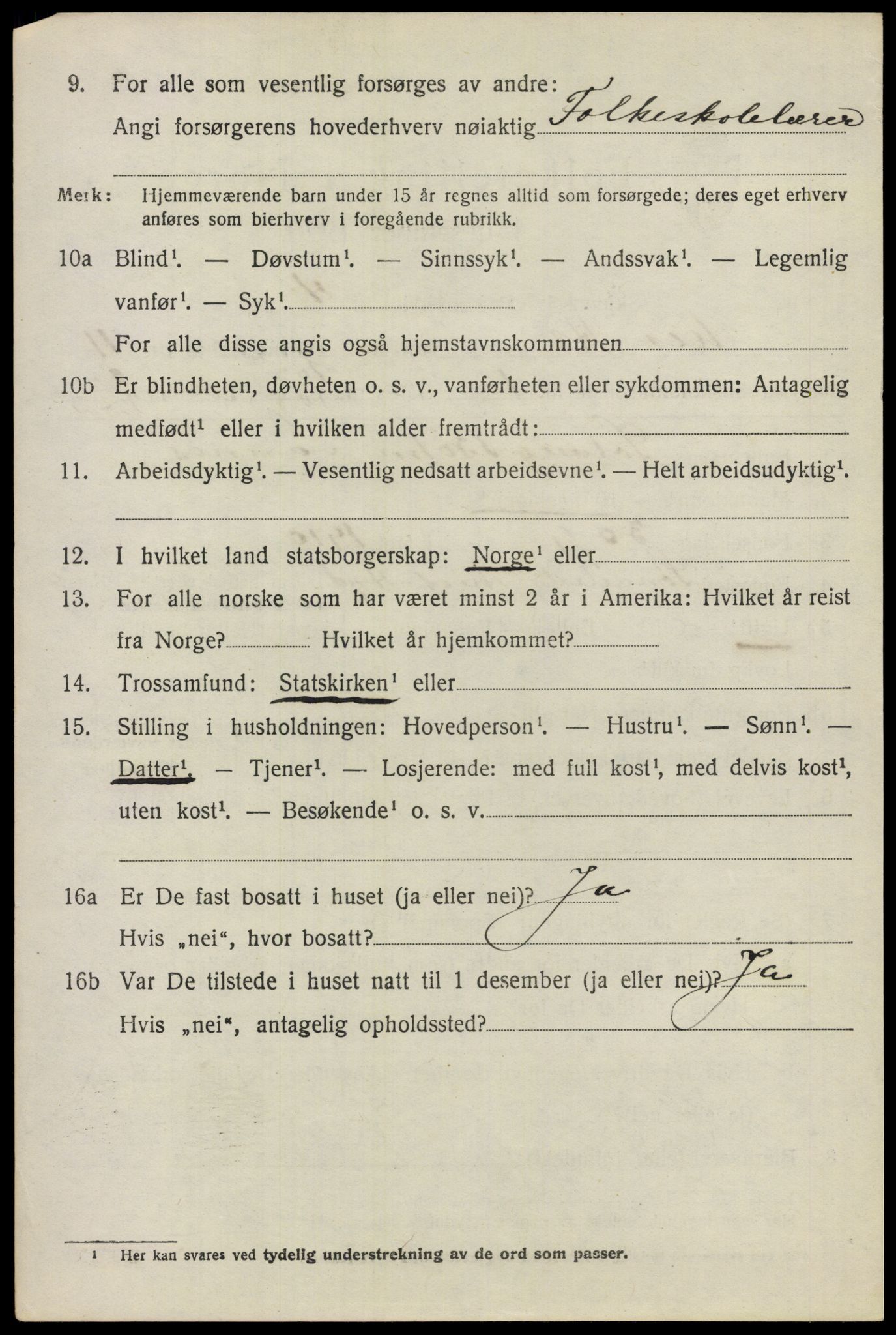 SAO, 1920 census for Nes, 1920, p. 11395