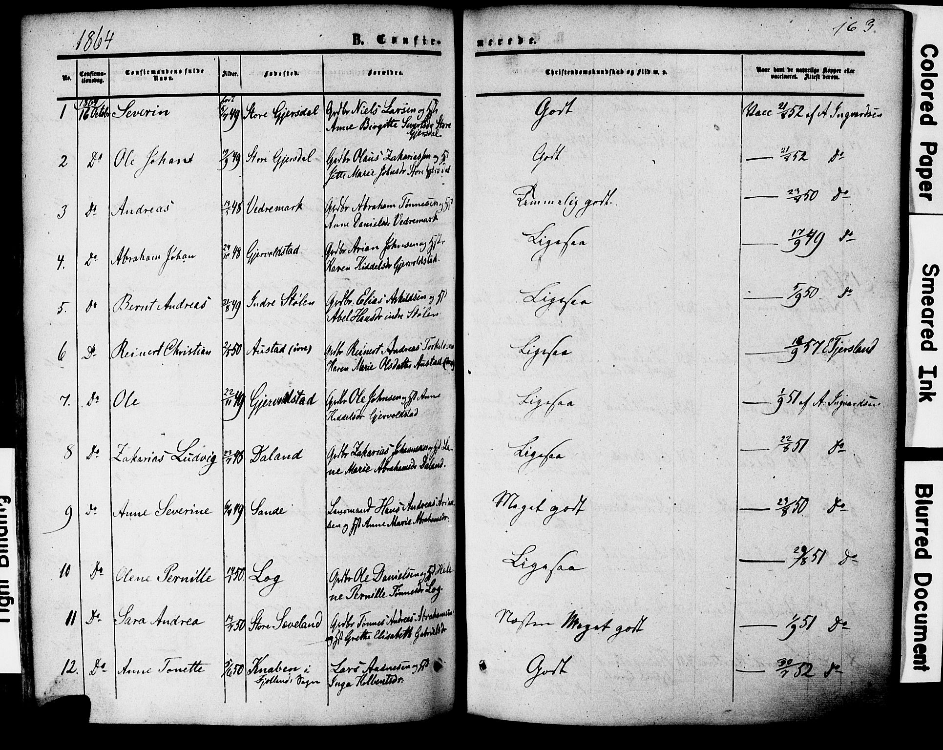 Herad sokneprestkontor, AV/SAK-1111-0018/F/Fa/Faa/L0005: Parish register (official) no. A 5, 1853-1886, p. 163