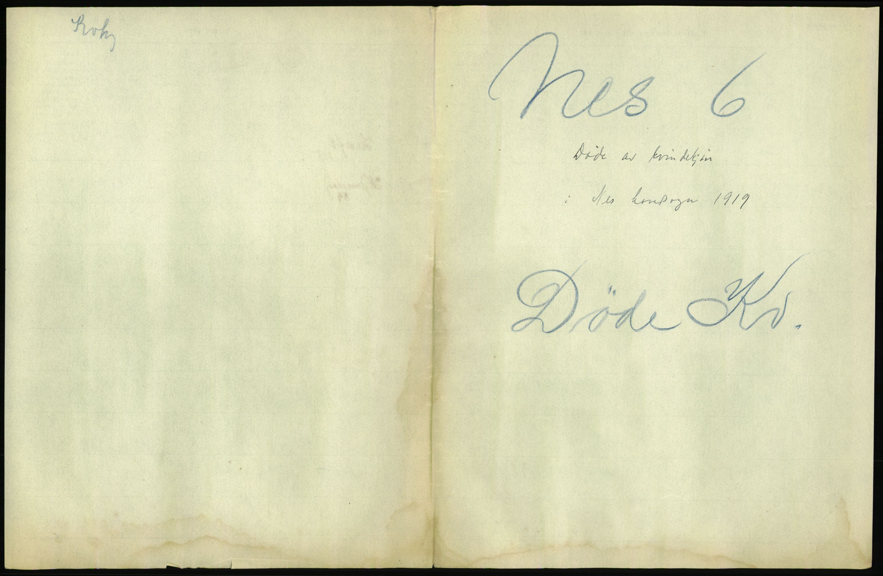 Statistisk sentralbyrå, Sosiodemografiske emner, Befolkning, RA/S-2228/D/Df/Dfb/Dfbi/L0006: Akershus fylke: Døde. Bygder og byer., 1919, p. 485