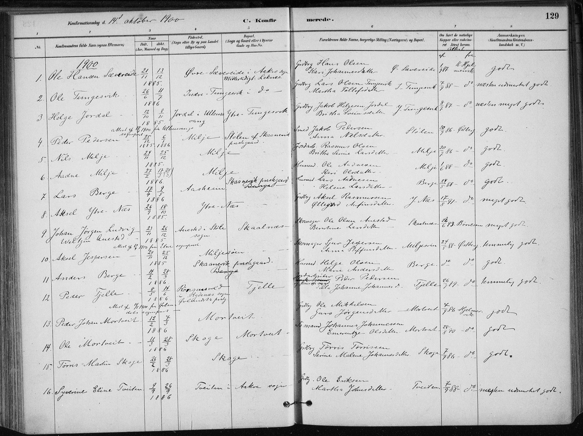 Skånevik sokneprestembete, AV/SAB-A-77801/H/Haa: Parish register (official) no. B 1, 1879-1914, p. 129