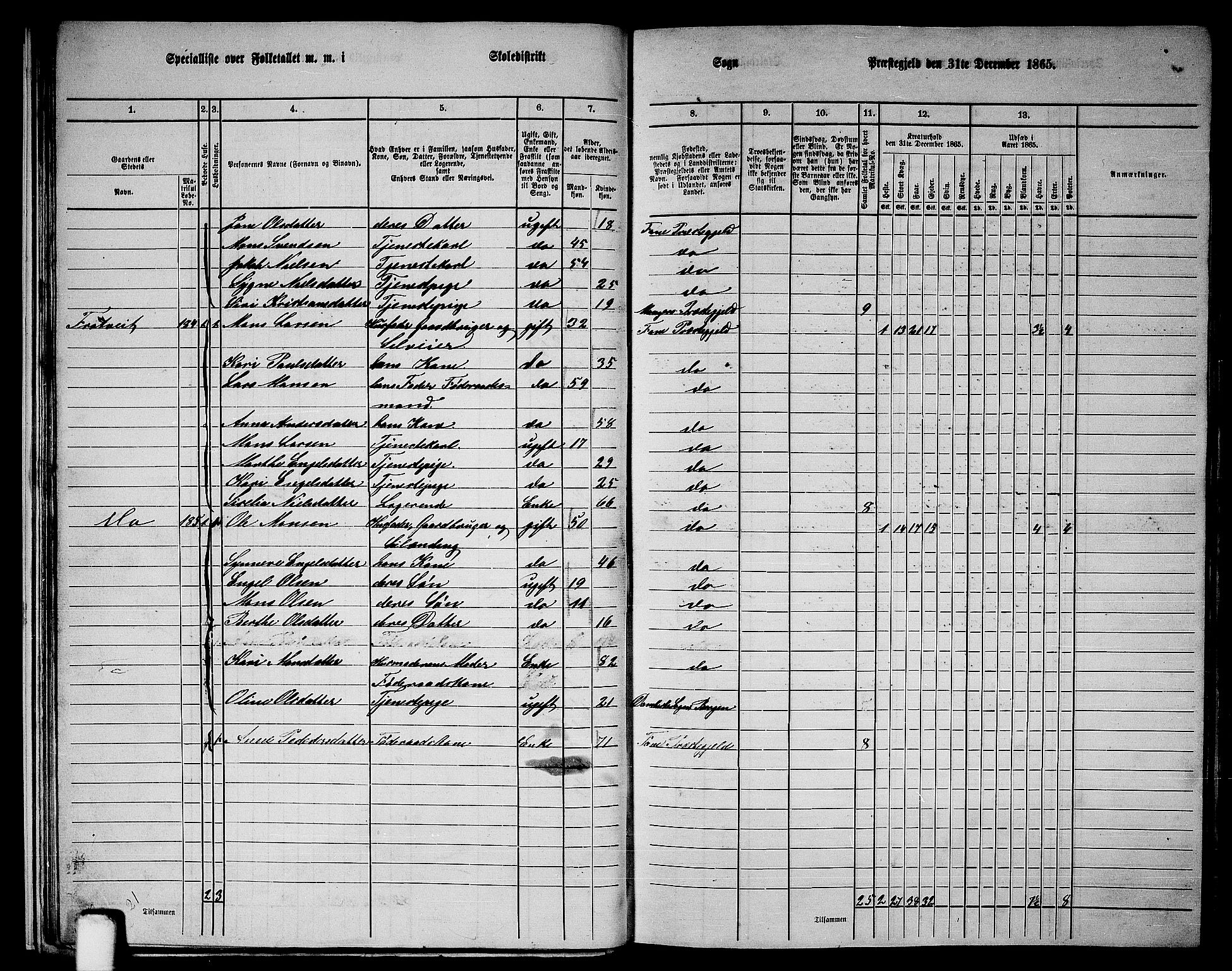 RA, 1865 census for Fana, 1865, p. 27