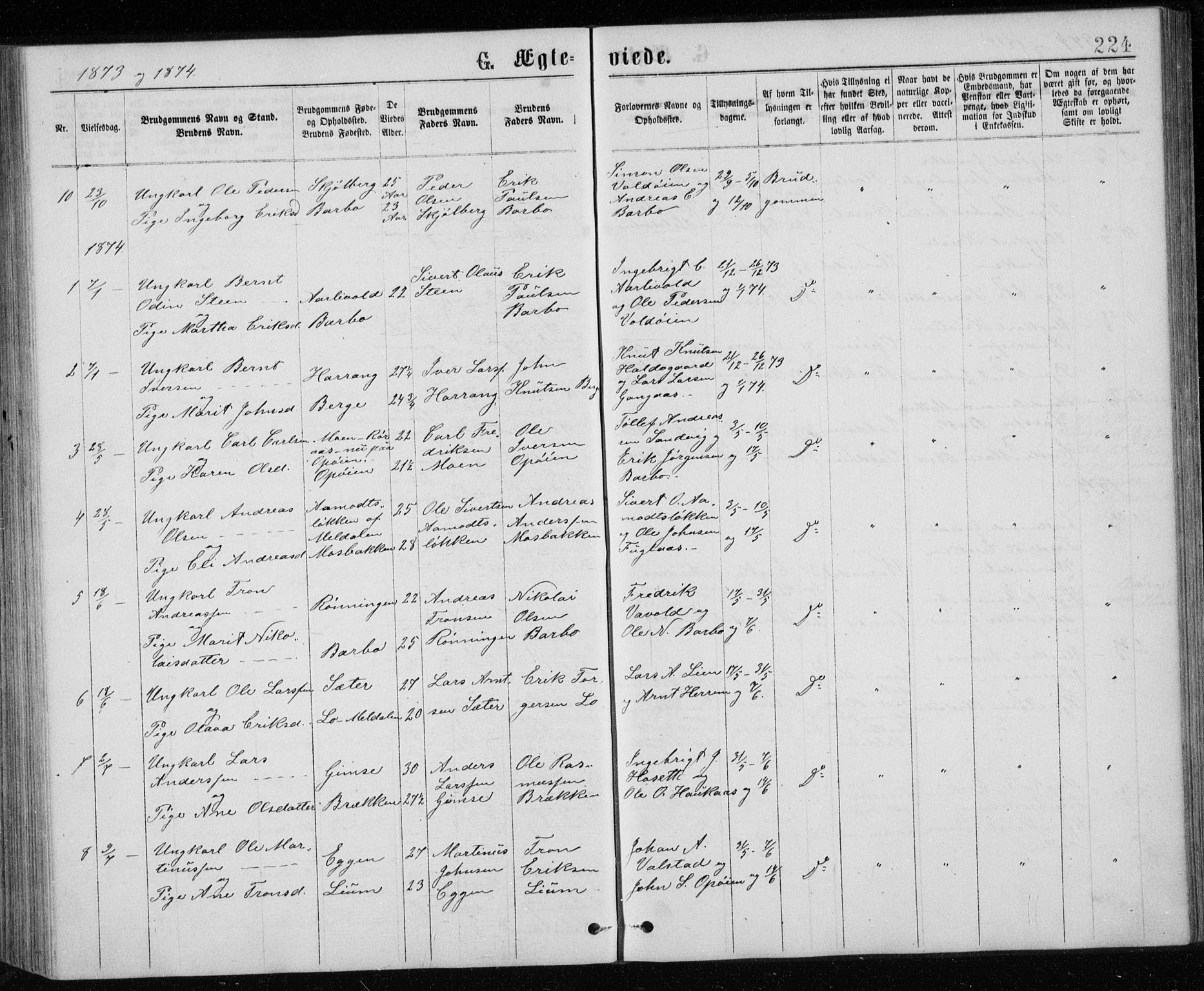 Ministerialprotokoller, klokkerbøker og fødselsregistre - Sør-Trøndelag, SAT/A-1456/671/L0843: Parish register (copy) no. 671C02, 1873-1892, p. 224