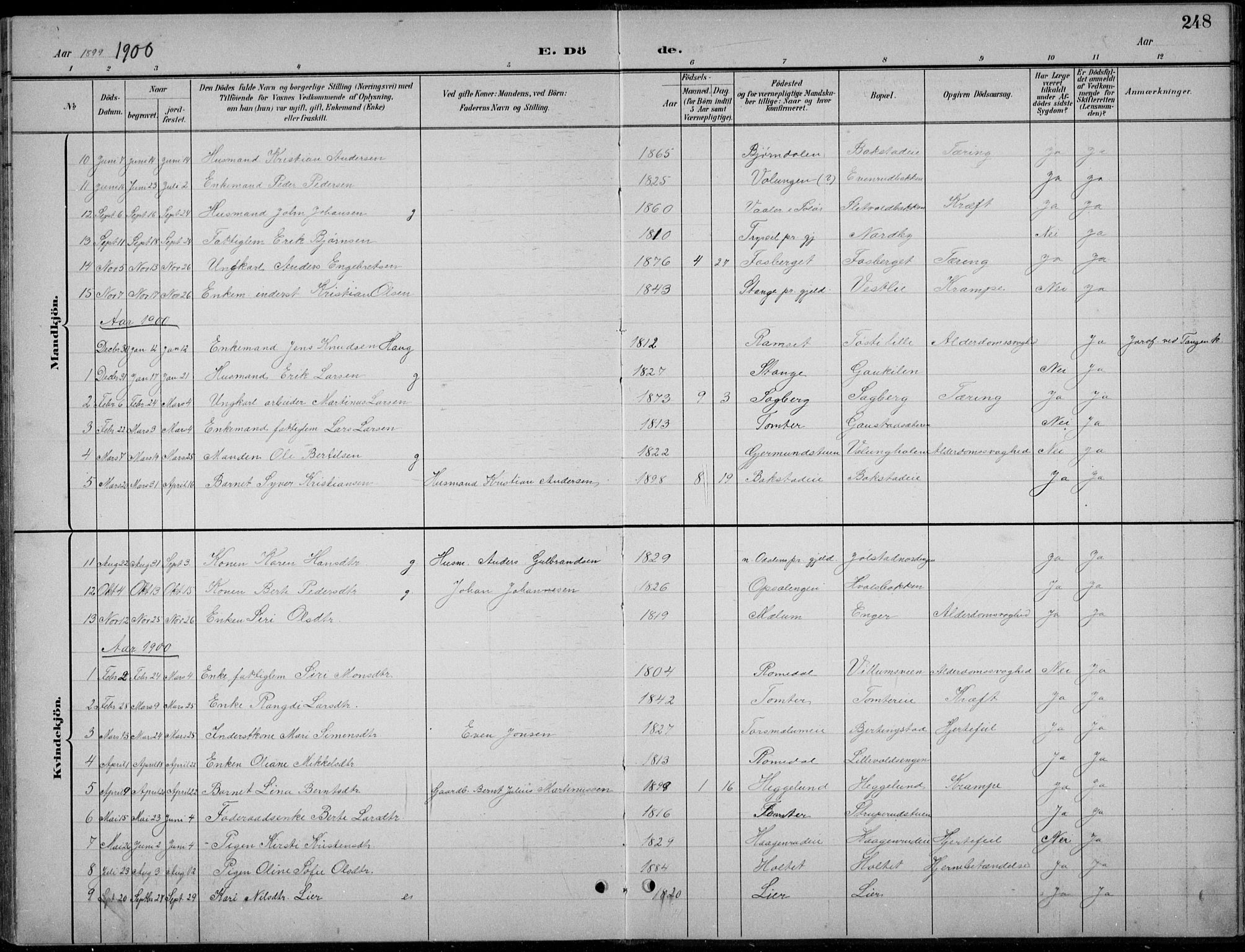Romedal prestekontor, AV/SAH-PREST-004/L/L0013: Parish register (copy) no. 13, 1896-1937, p. 248
