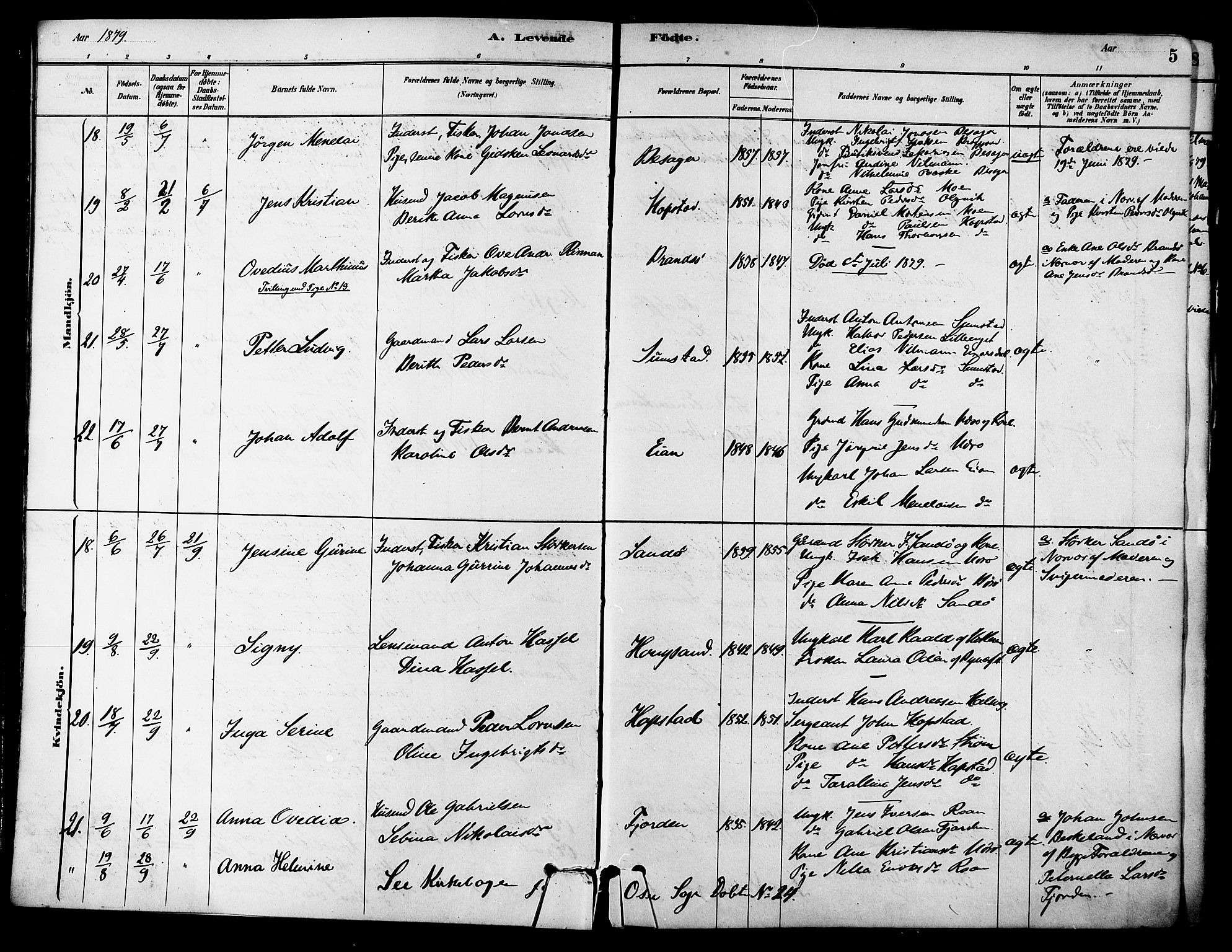 Ministerialprotokoller, klokkerbøker og fødselsregistre - Sør-Trøndelag, AV/SAT-A-1456/657/L0707: Parish register (official) no. 657A08, 1879-1893, p. 5