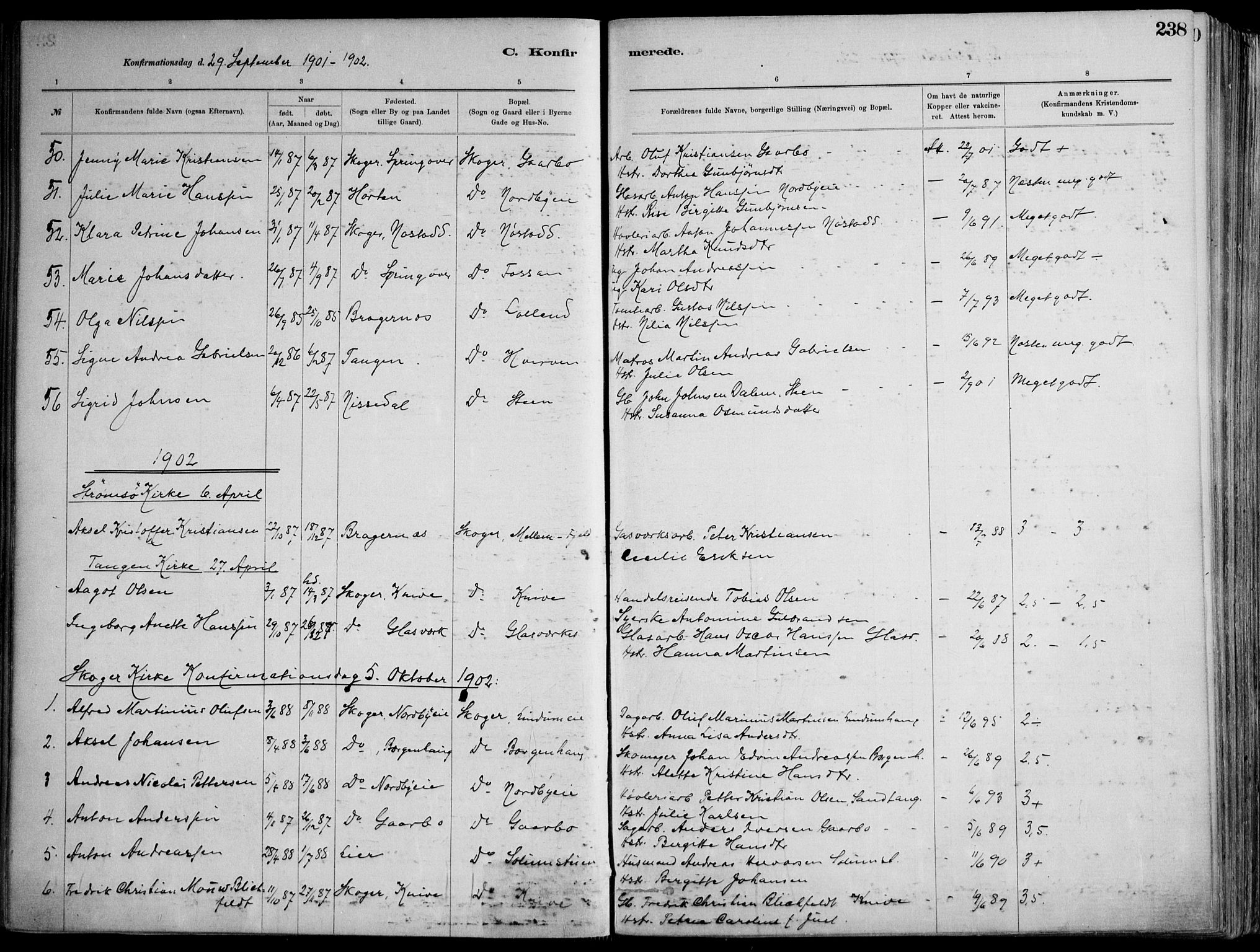 Skoger kirkebøker, AV/SAKO-A-59/F/Fa/L0006: Parish register (official) no. I 6, 1885-1910, p. 238