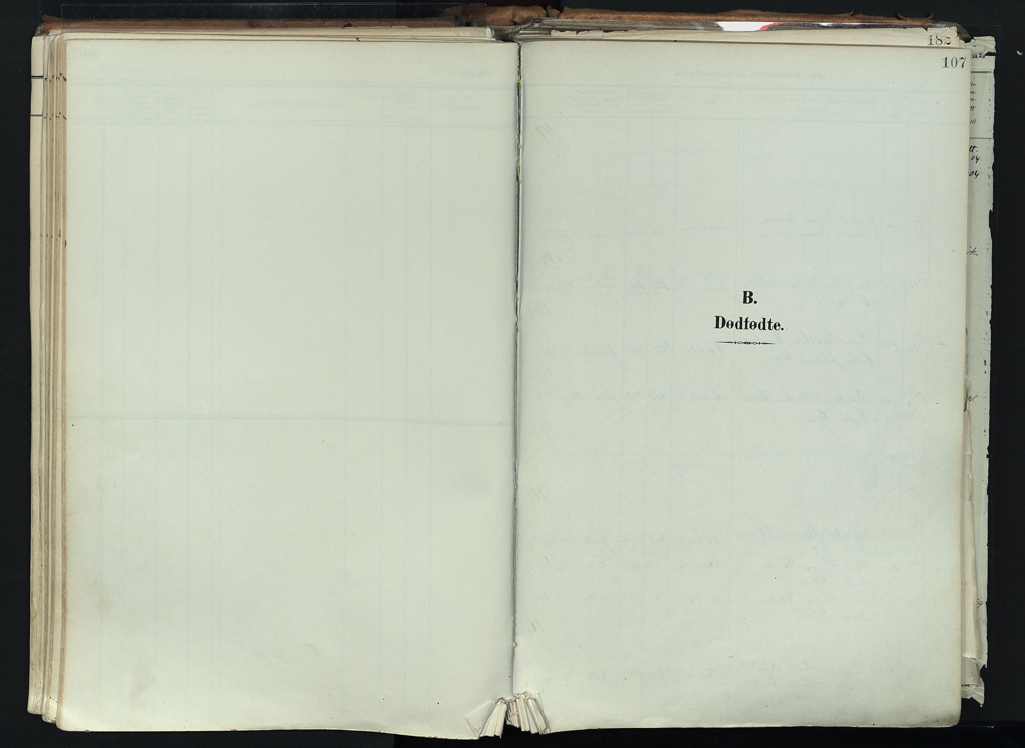 Brunlanes kirkebøker, SAKO/A-342/F/Fc/L0003: Parish register (official) no. III 3, 1900-1922, p. 107