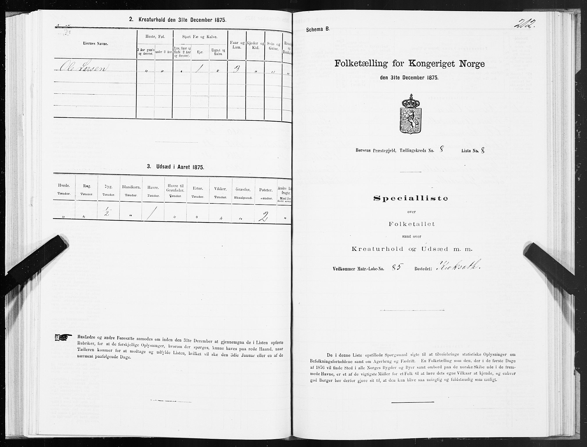 SAT, 1875 census for 1658P Børsa, 1875, p. 5212