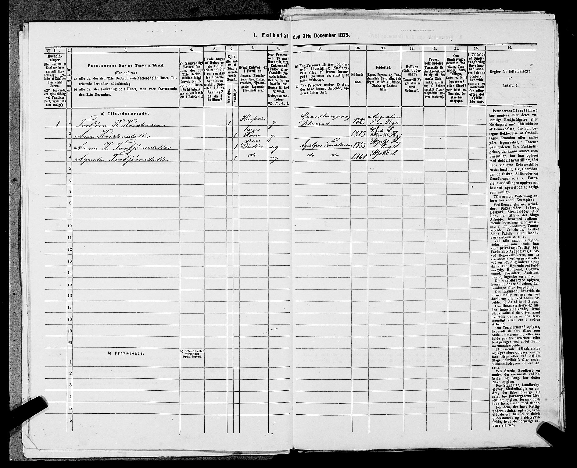 SAST, 1875 census for 1154P Skjold, 1875, p. 223