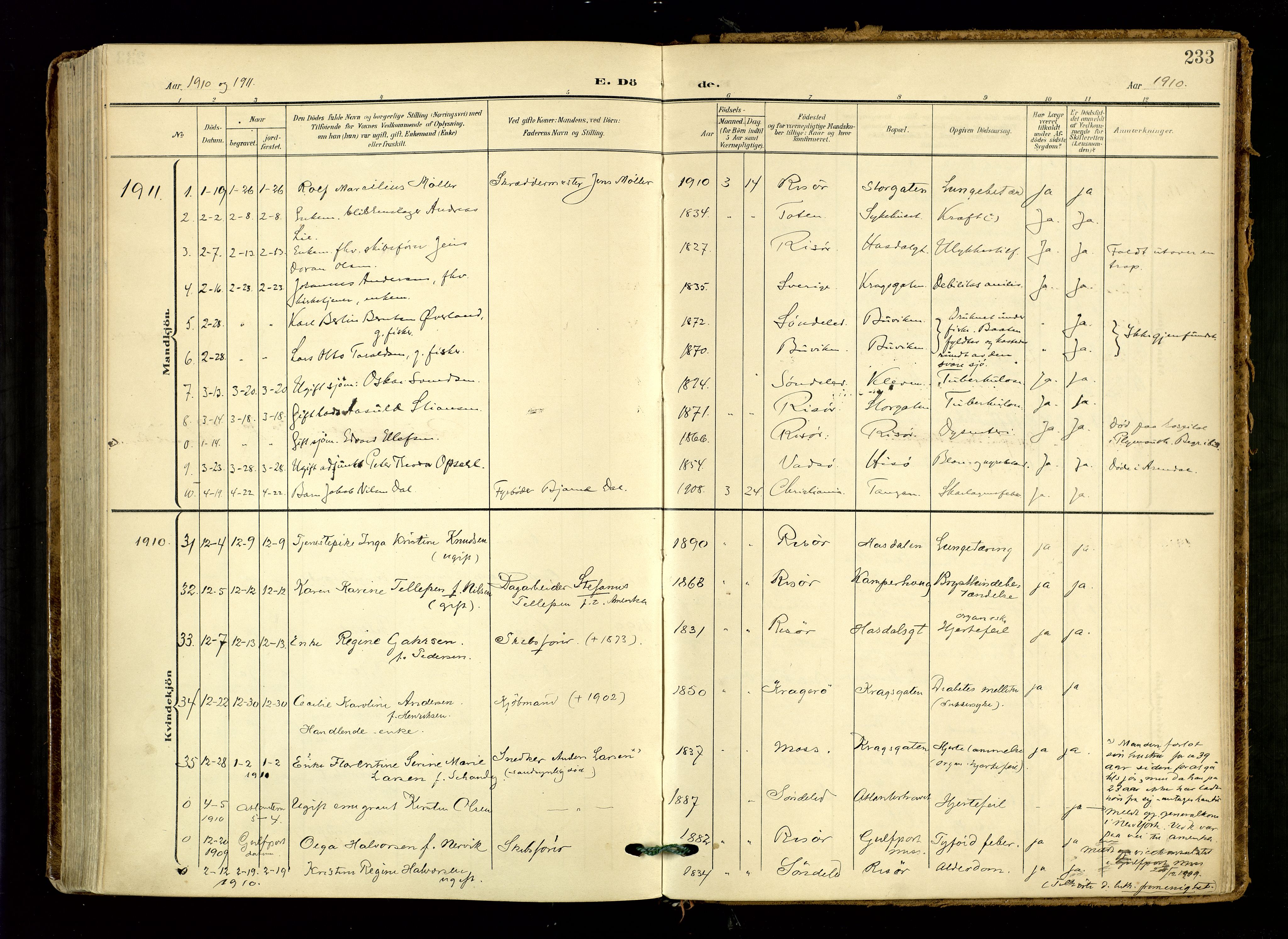 Risør sokneprestkontor, AV/SAK-1111-0035/F/Fa/L0011: Parish register (official) no. A 11, 1907-1920, p. 233